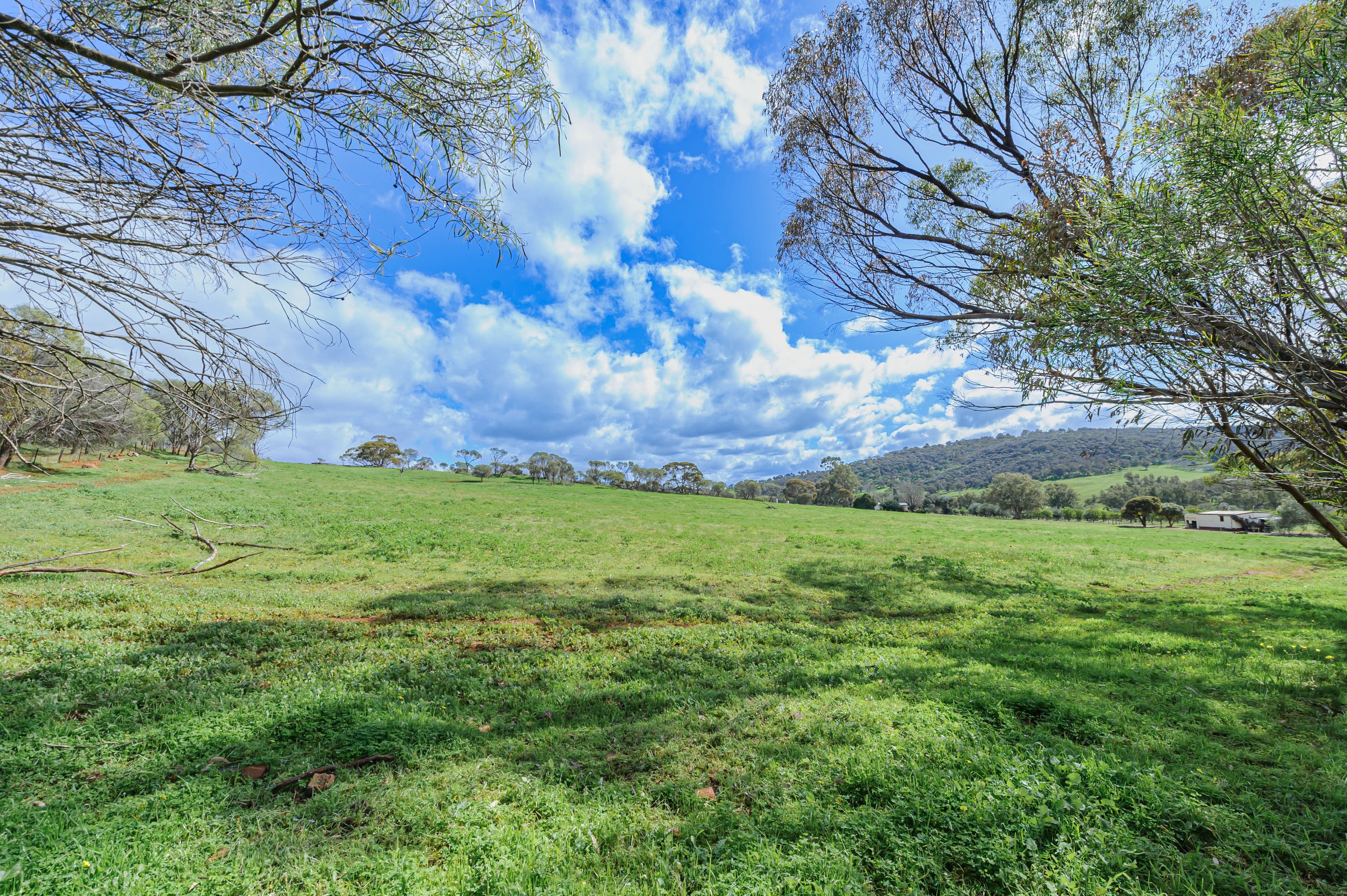 61 Toy Road, Bindoon WA 6502, Bindoon - Thumbnail 6