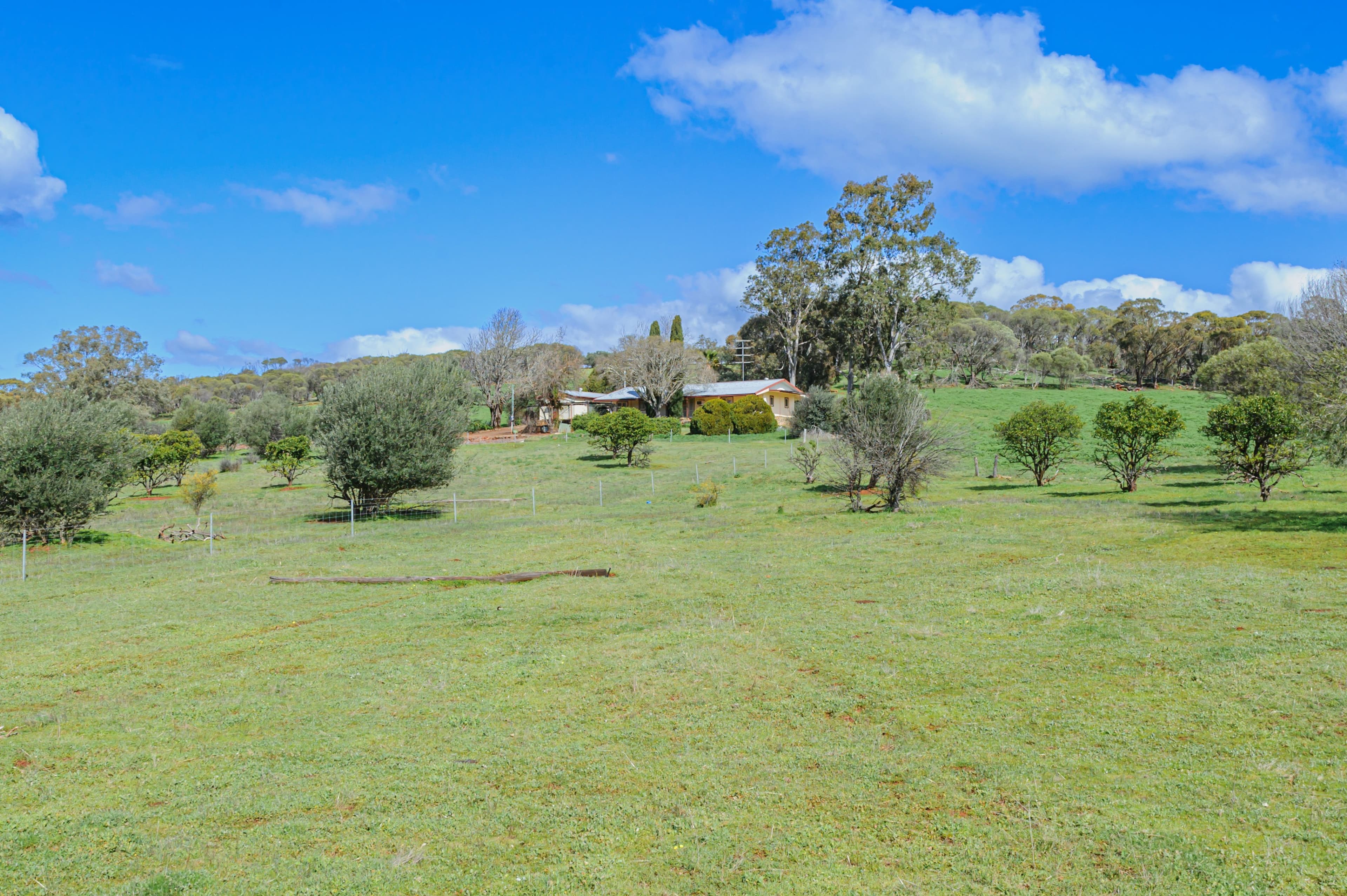 61 Toy Road, Bindoon WA 6502, Bindoon - Thumbnail 7