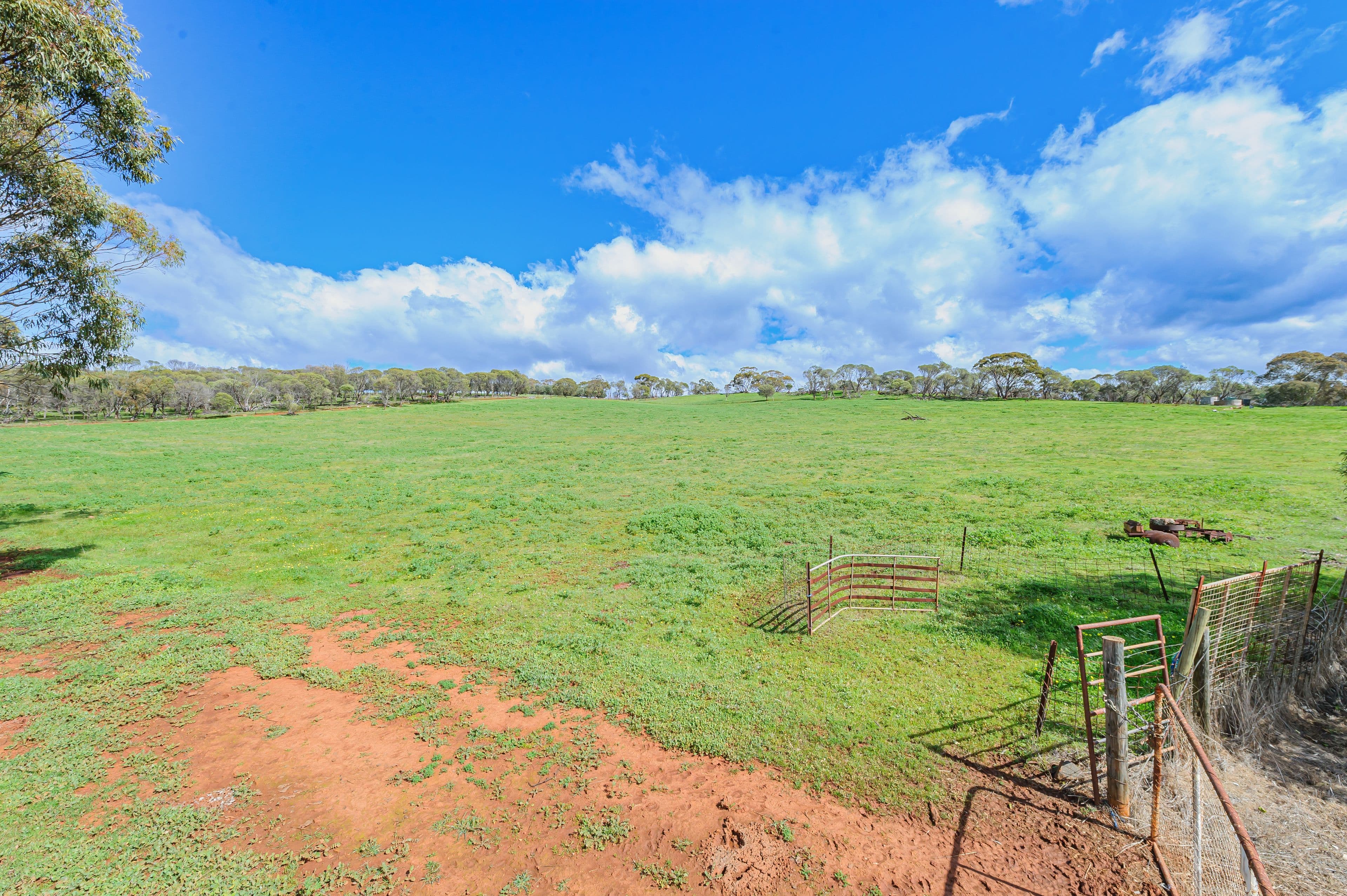61 Toy Road, Bindoon WA 6502, Bindoon - Thumbnail 8