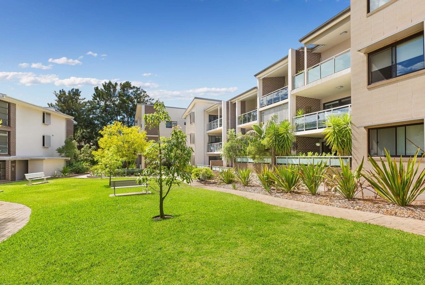 6-8 Banksia Road, Caringbah NSW 2229, Caringbah - Thumbnail 2