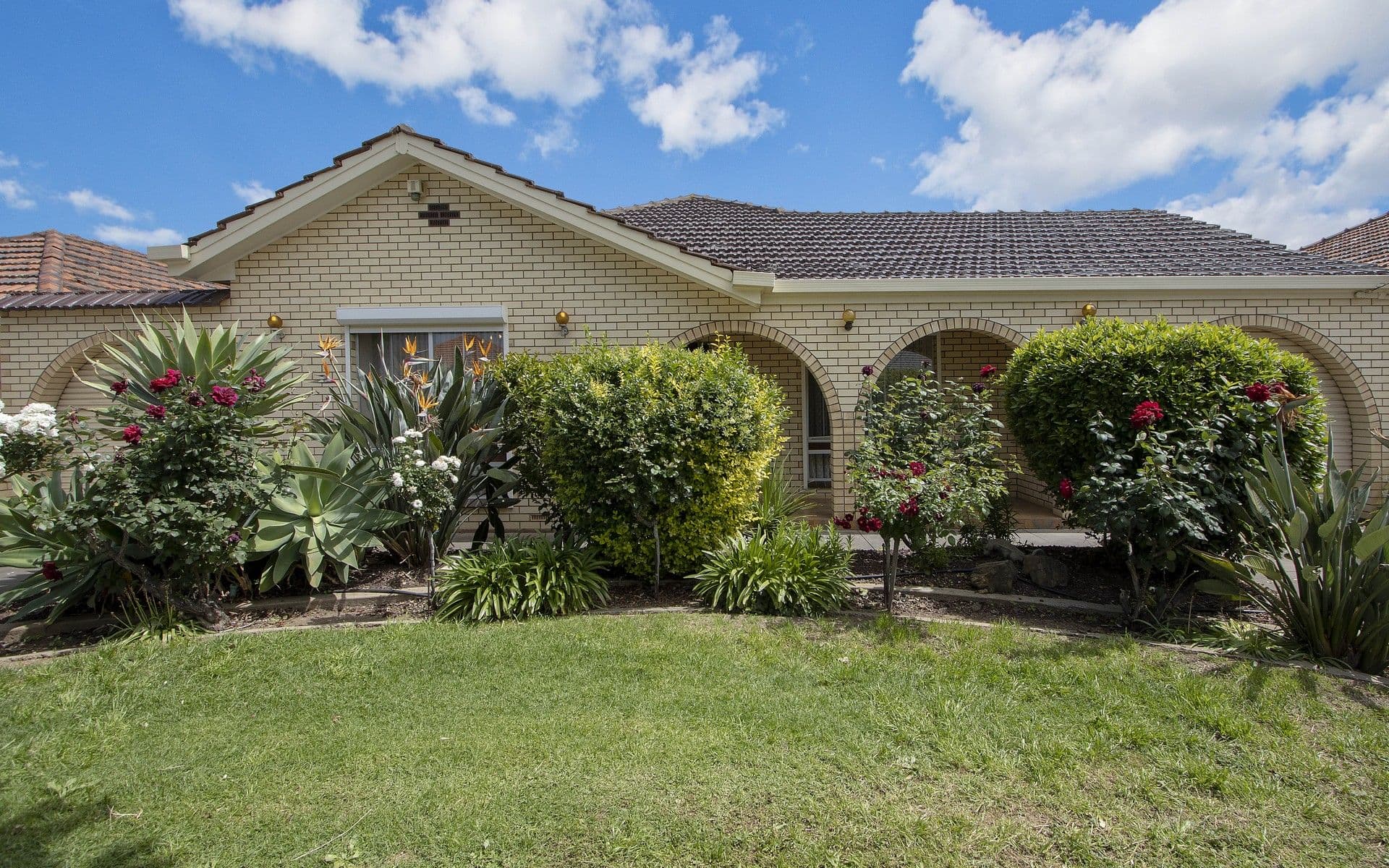 5 Lillian Street, Findon SA 5023, Findon - Thumbnail 2