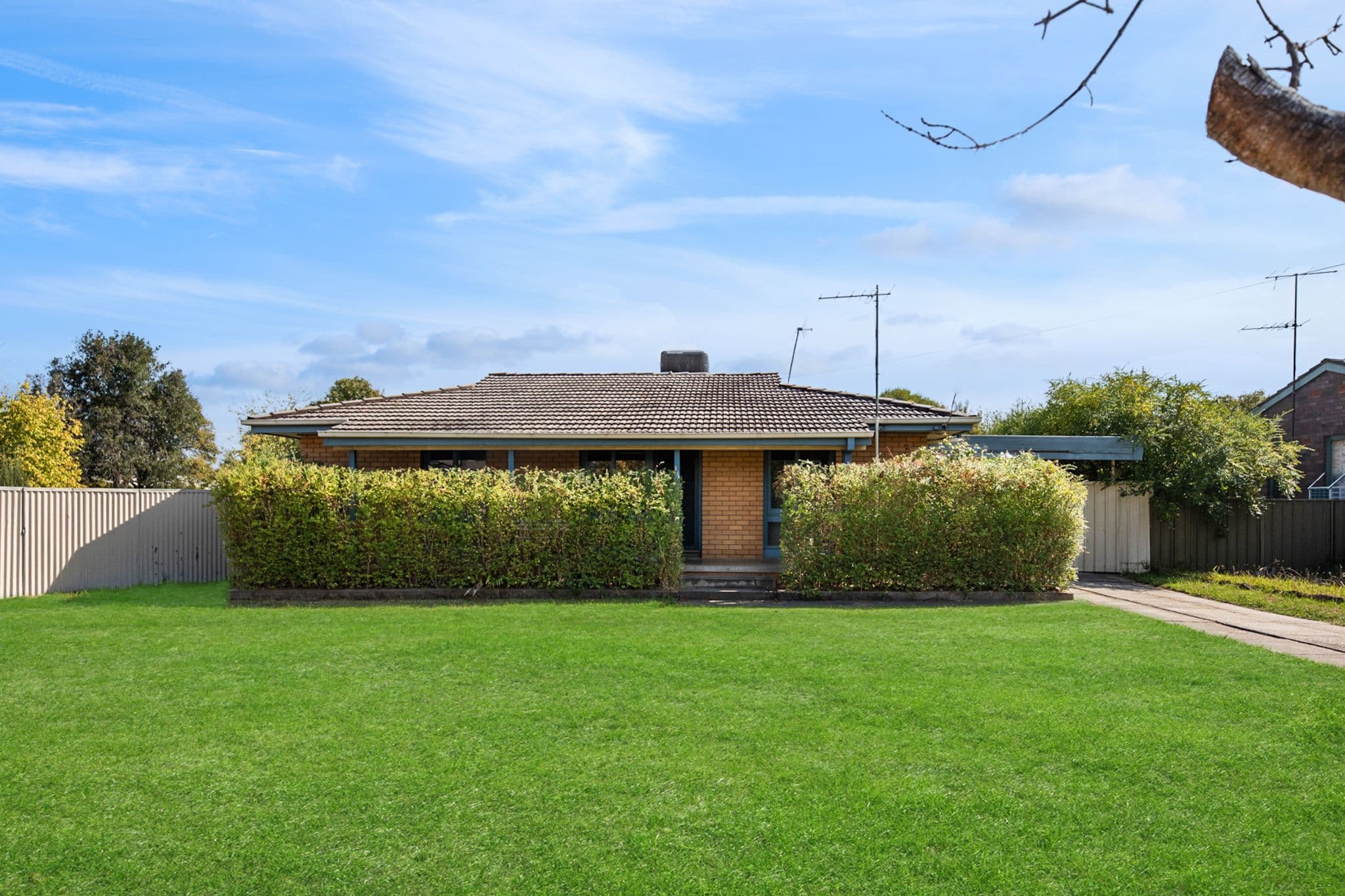 303 Sunshine Court, Lavington NSW 2641, Lavington - Thumbnail 3