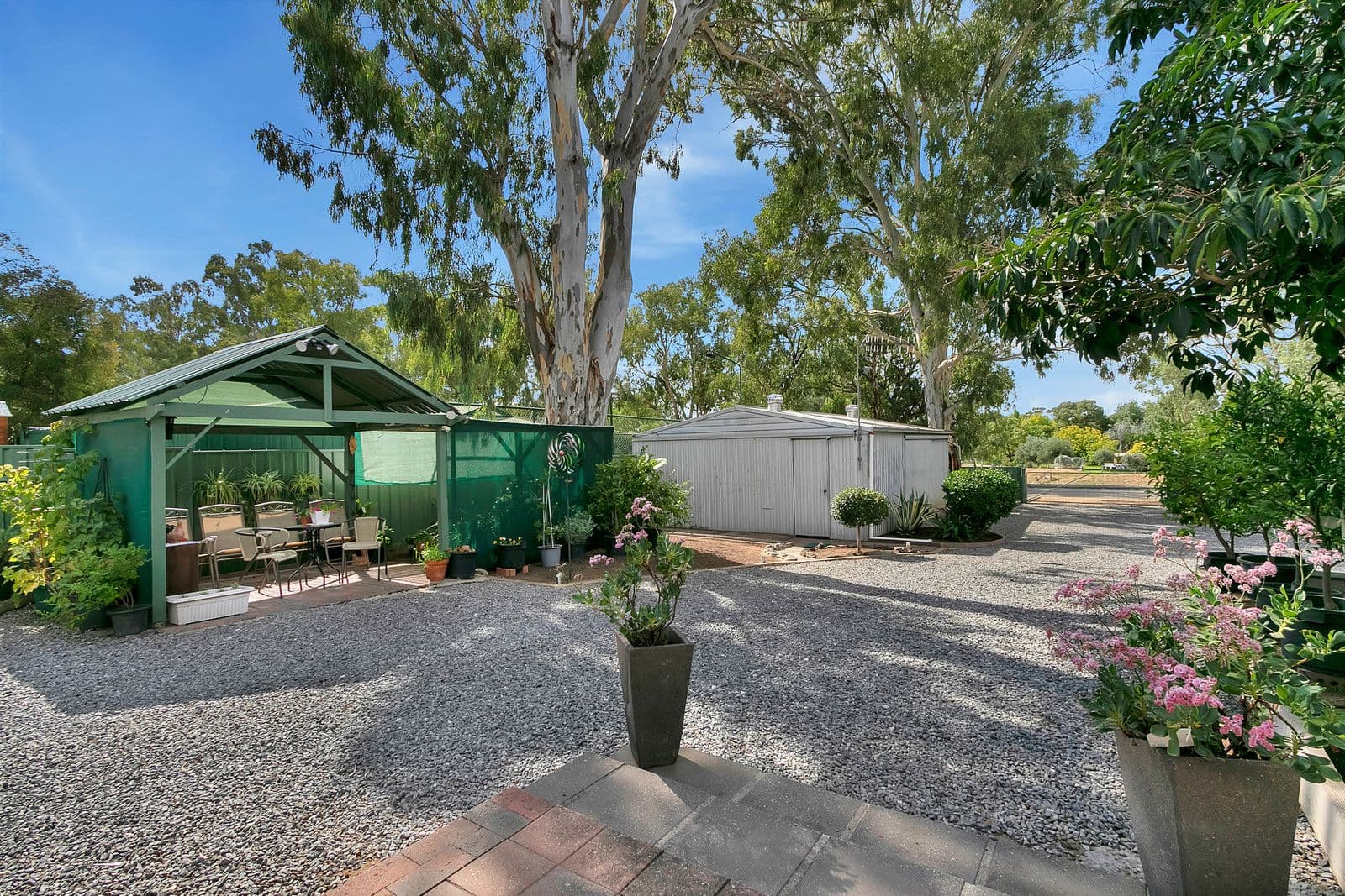 2 Nicholas Court, Lyndoch SA 5351, Lyndoch - Thumbnail 3