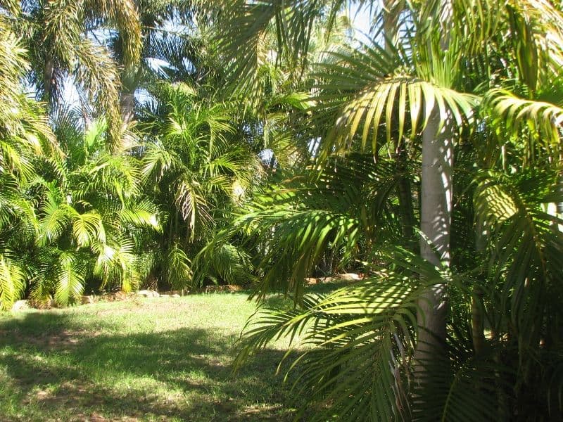 503 Hunt Way, BULGARRA WA 6714, Bulgarra - Thumbnail 7