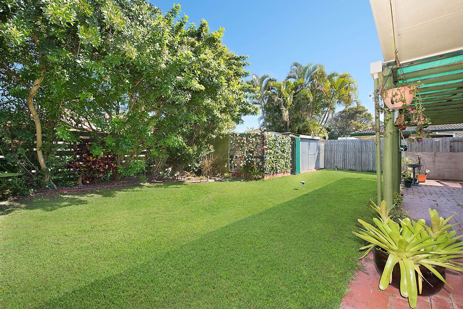 26 Koorin Drive, Warana QLD 4575, Warana - Thumbnail 6