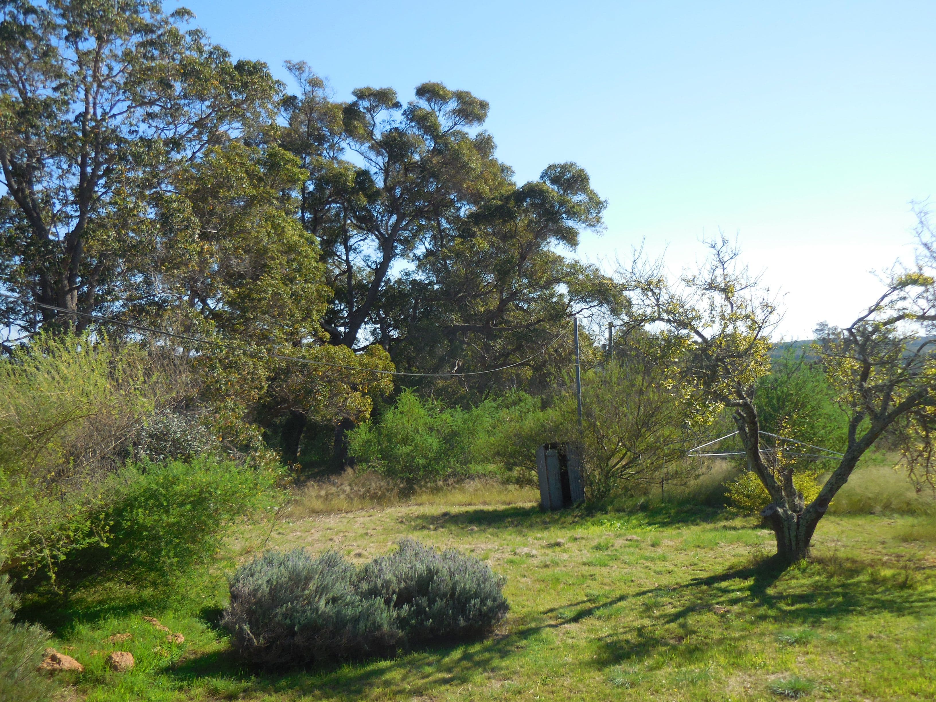 Lot 3 Muir Highway, Mount Barker WA 6324, Mount Barker - Thumbnail 7