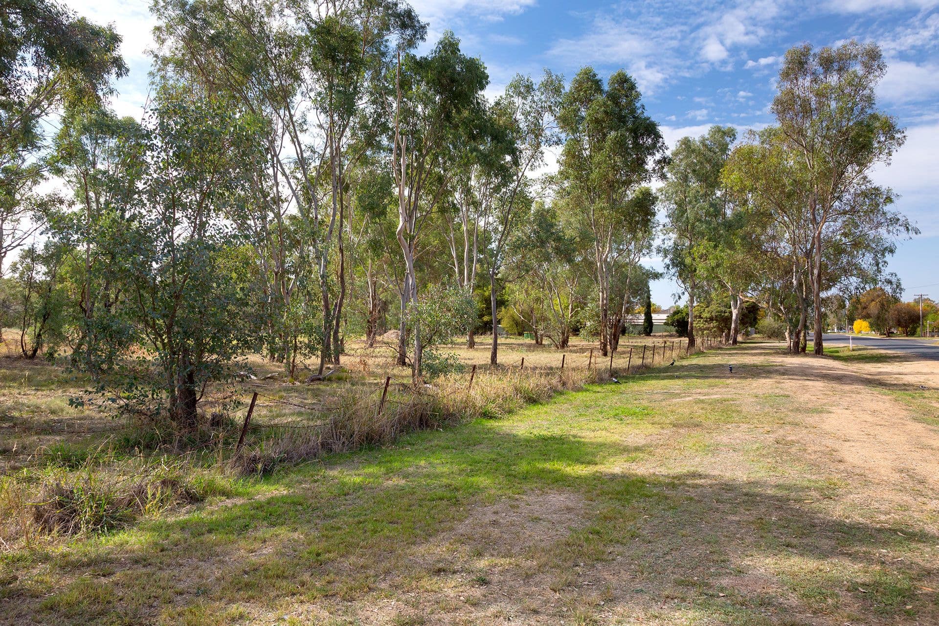 122 Creek Street, Jindera NSW 2642, Jindera - Thumbnail 3