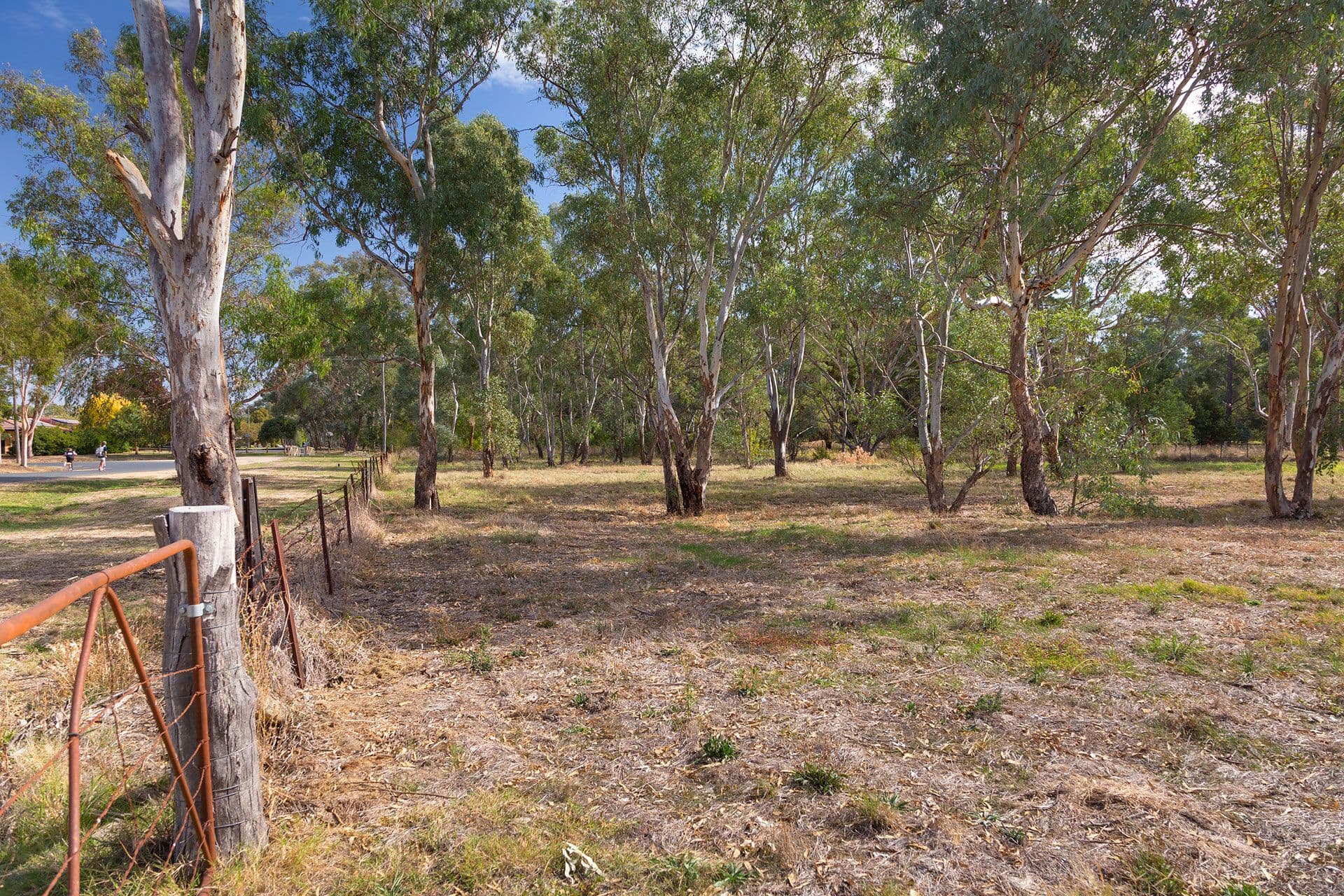 122 Creek Street, Jindera NSW 2642, Jindera - Thumbnail 4