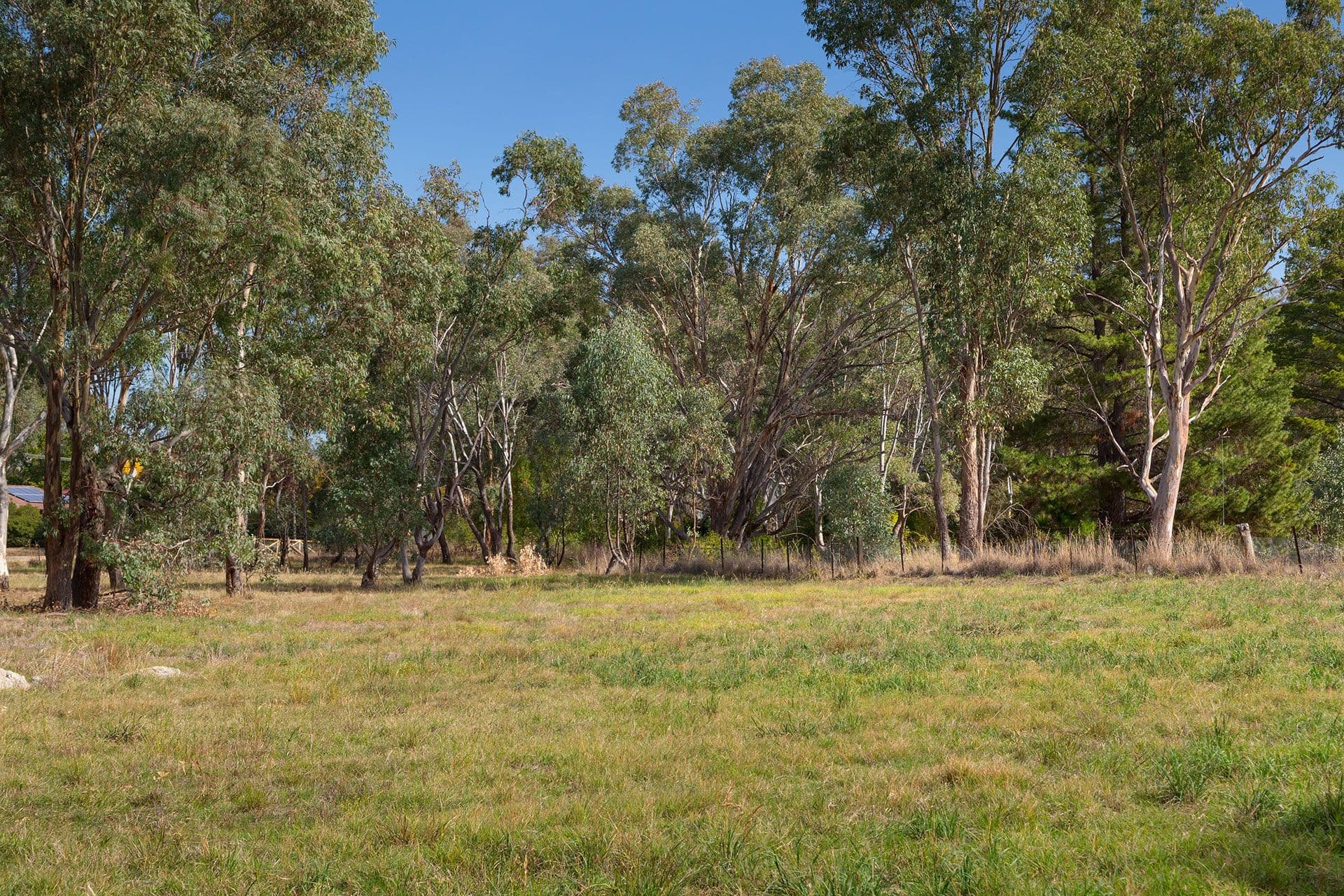 122 Creek Street, Jindera NSW 2642, Jindera - Thumbnail 5