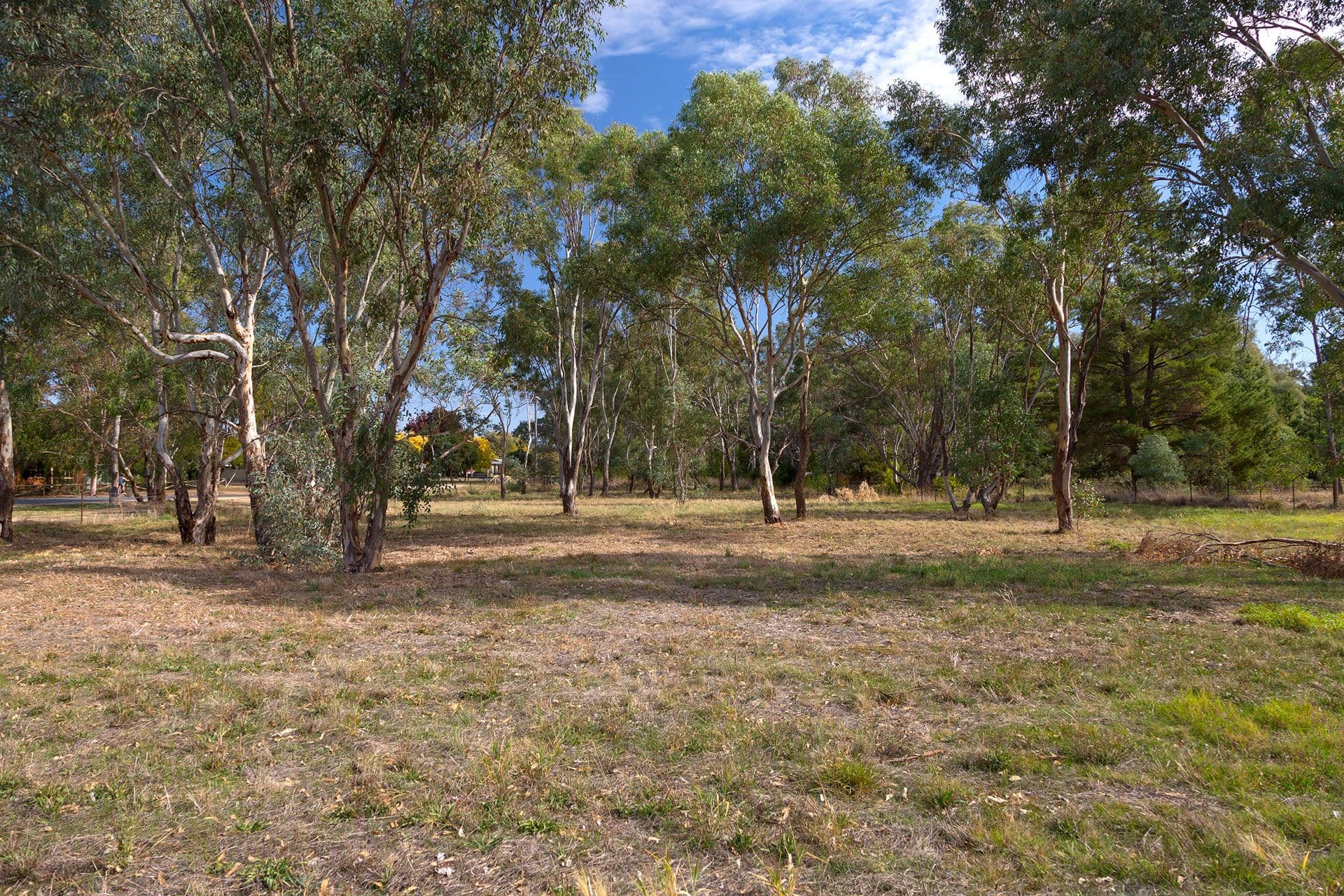 122 Creek Street, Jindera NSW 2642, Jindera - Thumbnail 6