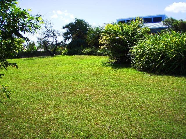 5 Galvin Street, BEACONSFIELD QLD 4740, Beaconsfield - Thumbnail 5