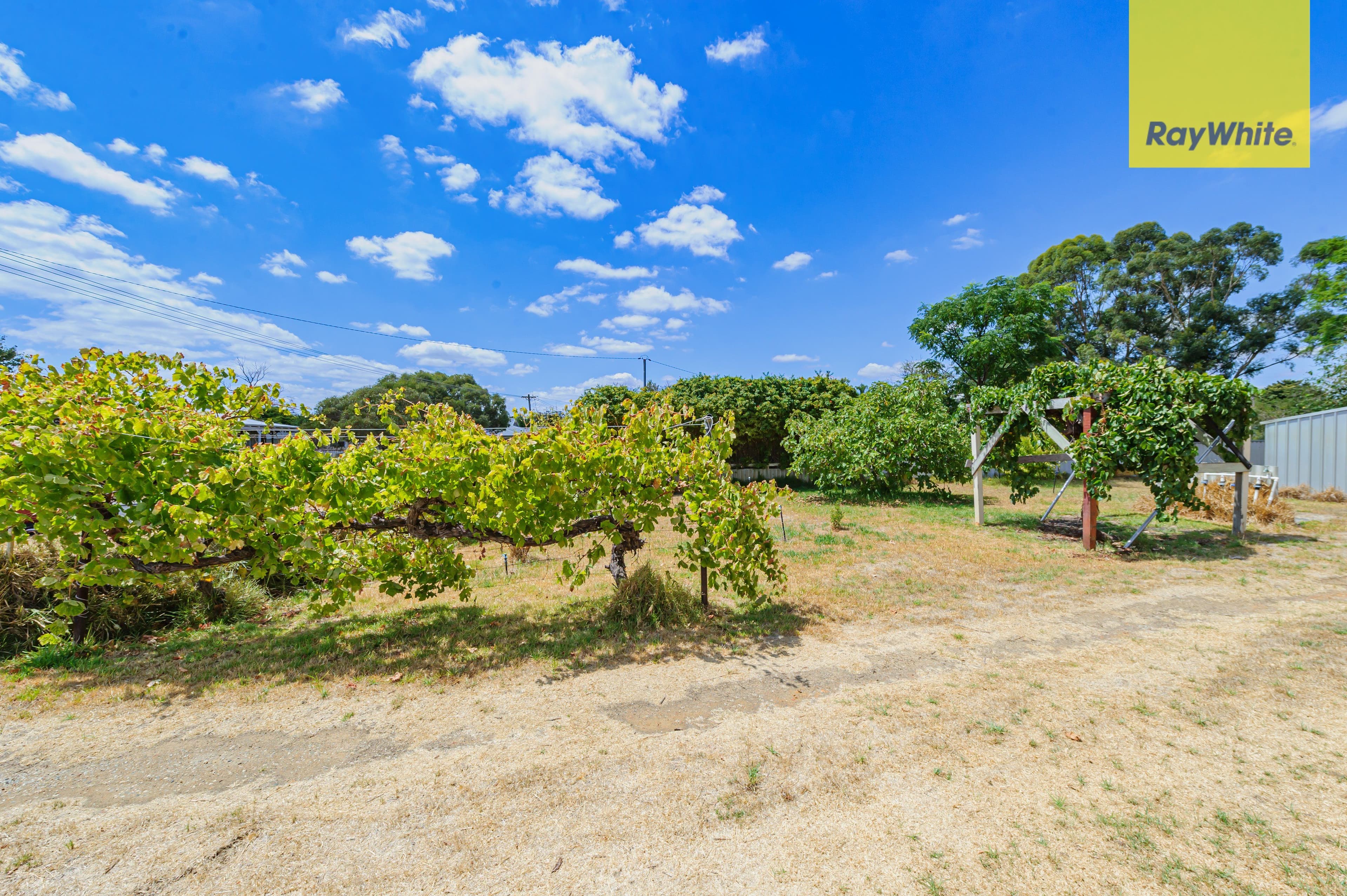 40 Upperthong Street, Bullsbrook WA 6084, Bullsbrook - Thumbnail 5