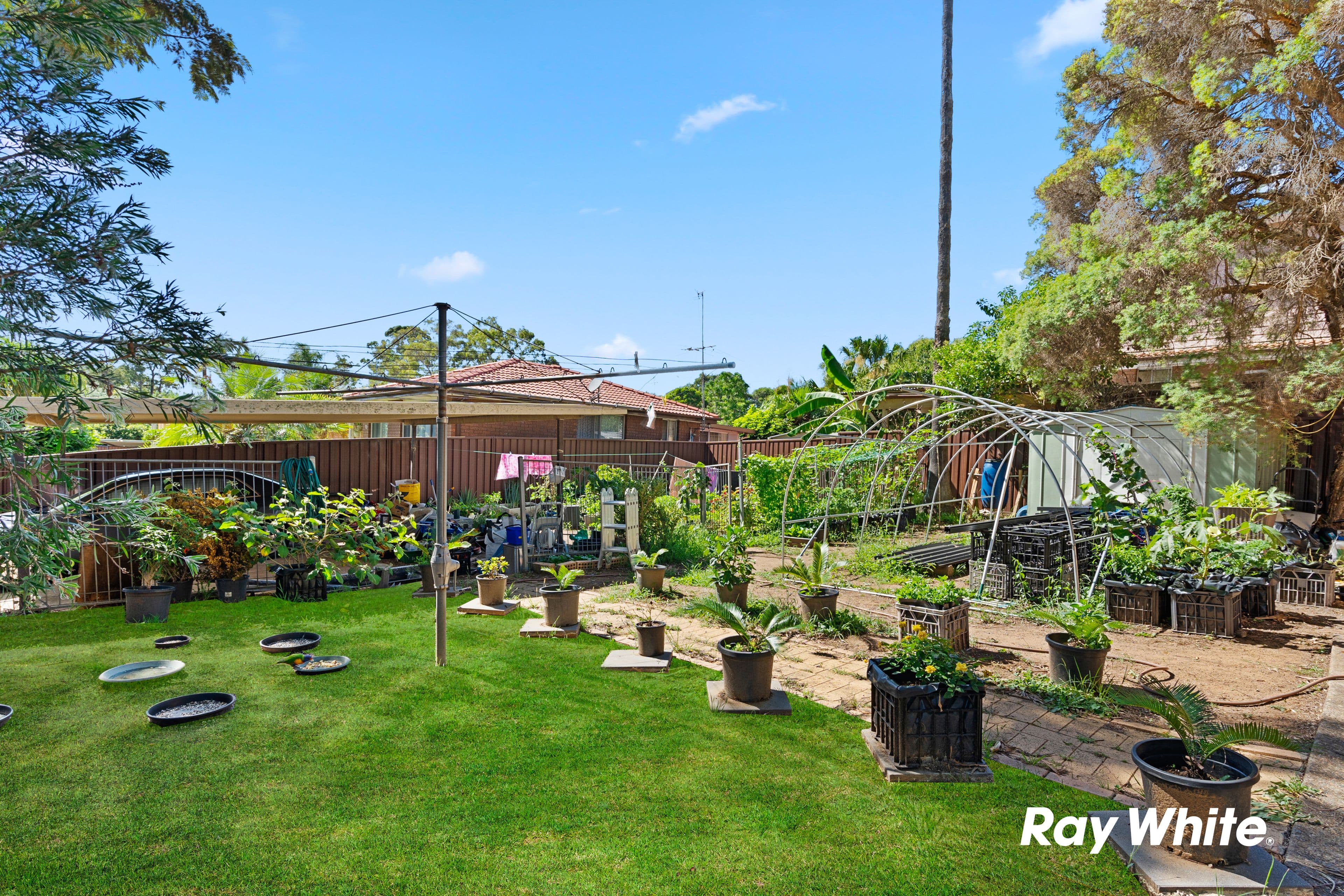 1 Marx Place, Quakers Hill NSW 2763, Quakers Hill - Thumbnail 7