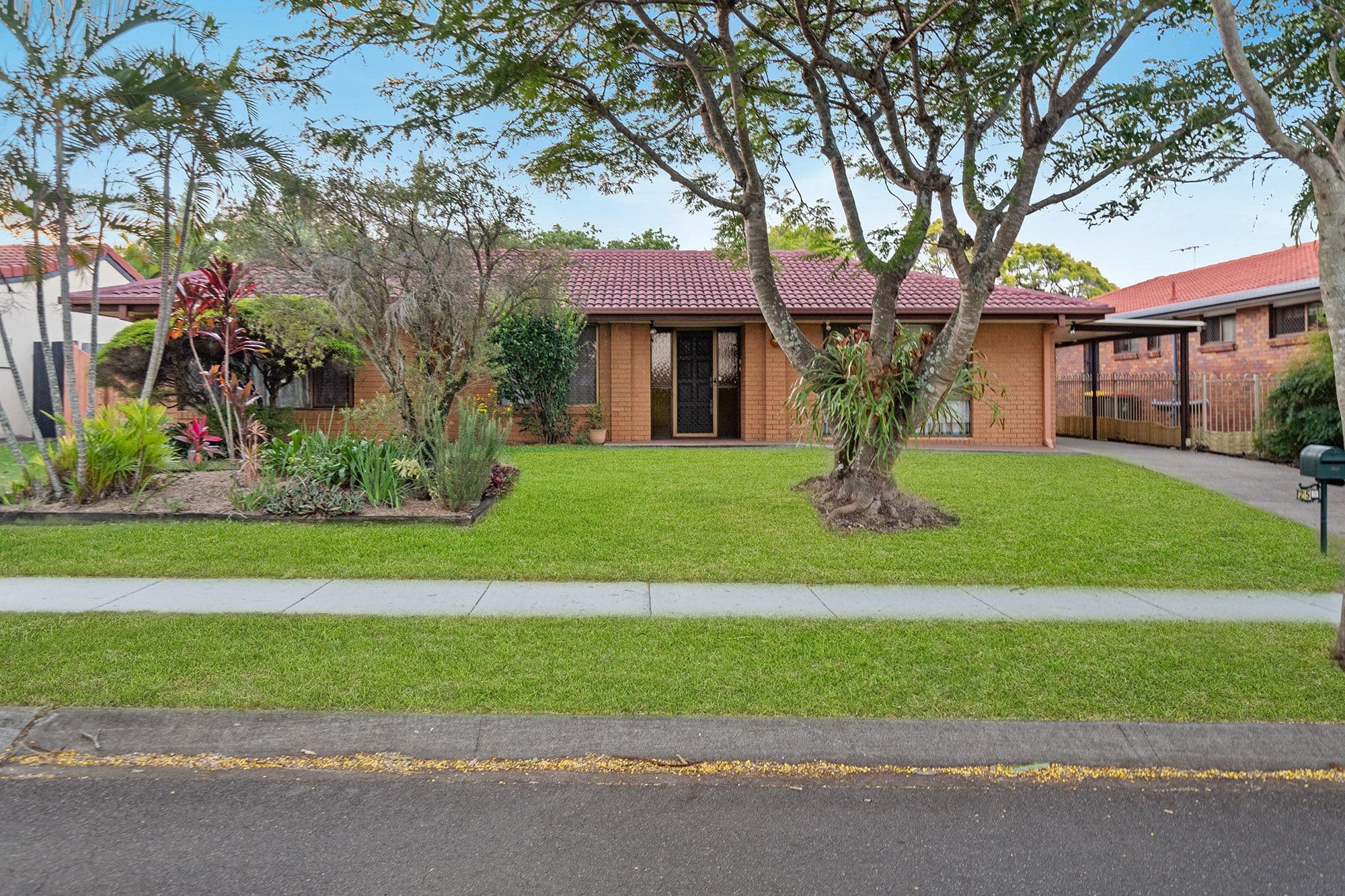 25 Hollywood Street, Runcorn QLD 4113, Runcorn - Image 1