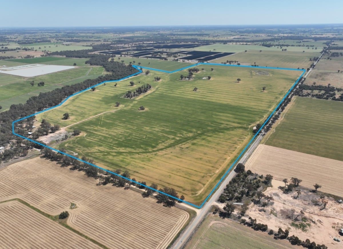 175 Kaarimba Road, Wunghnu, Wunghnu - Image 1