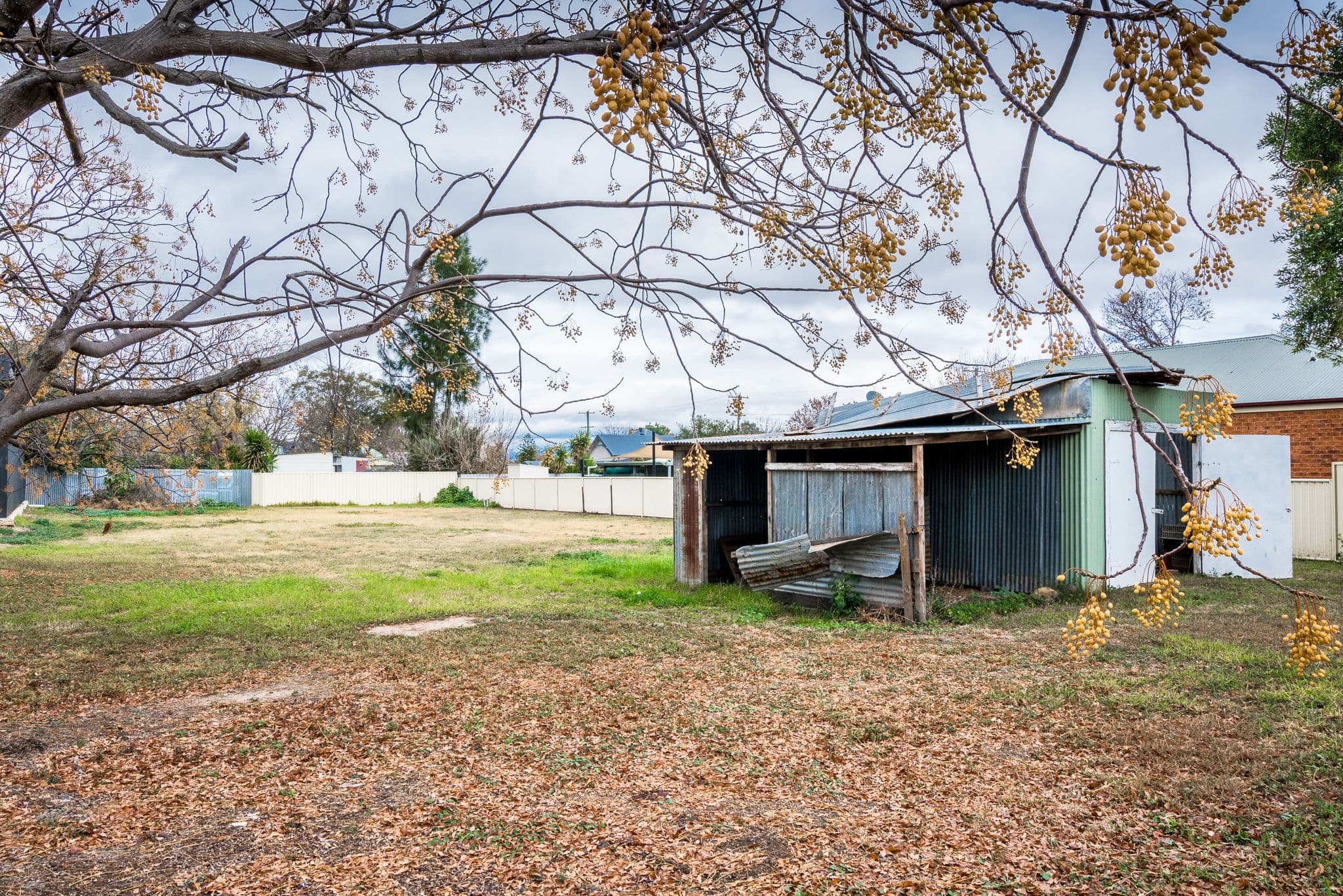 87 Liverpool Street, Scone NSW 2337, Scone - Thumbnail 2