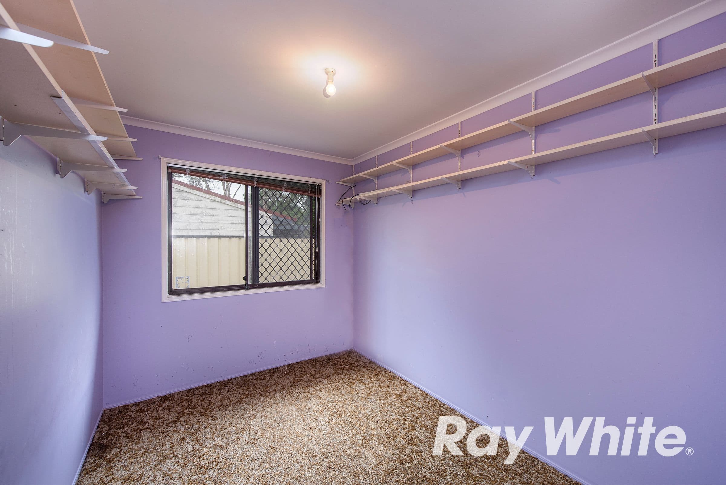 16 Overton Court, Crestmead QLD 4132, Crestmead - Thumbnail 6