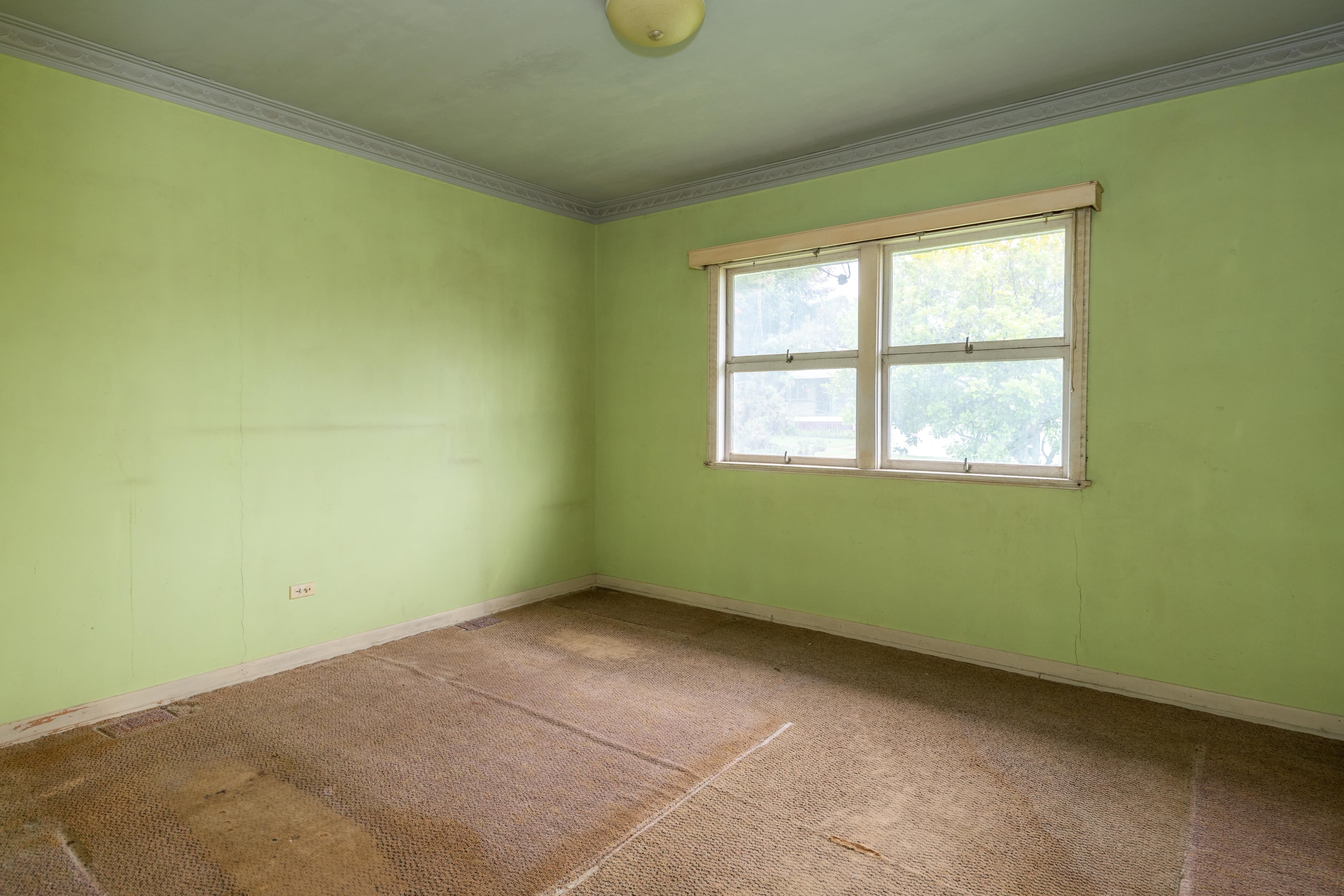 31 Barrington Street, Banyo QLD 4014, Banyo - Thumbnail 7