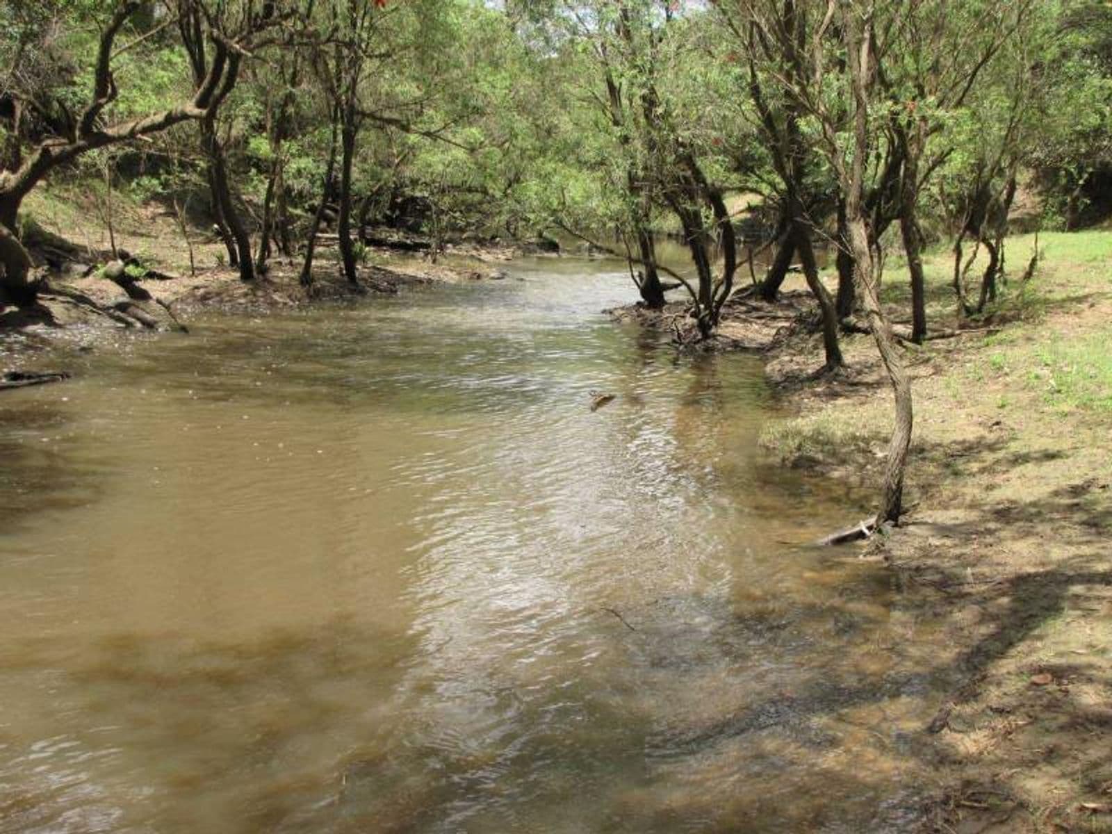 Lot 55, Lot 55, Bruxner Highway, Tabulam - Thumbnail 4
