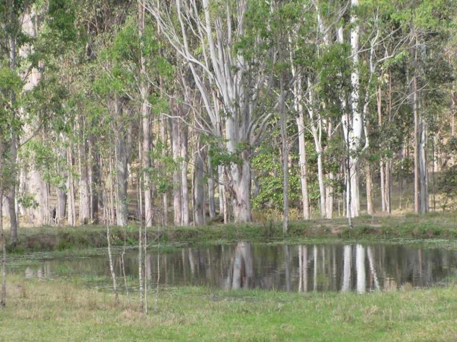 Lot 55, Lot 55, Bruxner Highway, Tabulam - Thumbnail 7