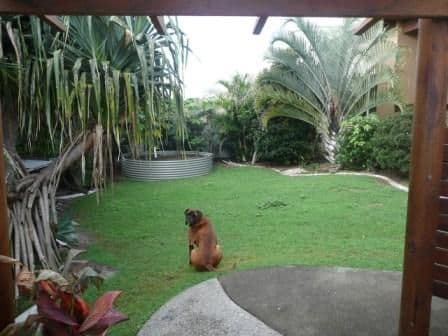 19 Ebony Court, KINGSCLIFF NSW 2487, Kingscliff - Thumbnail 8