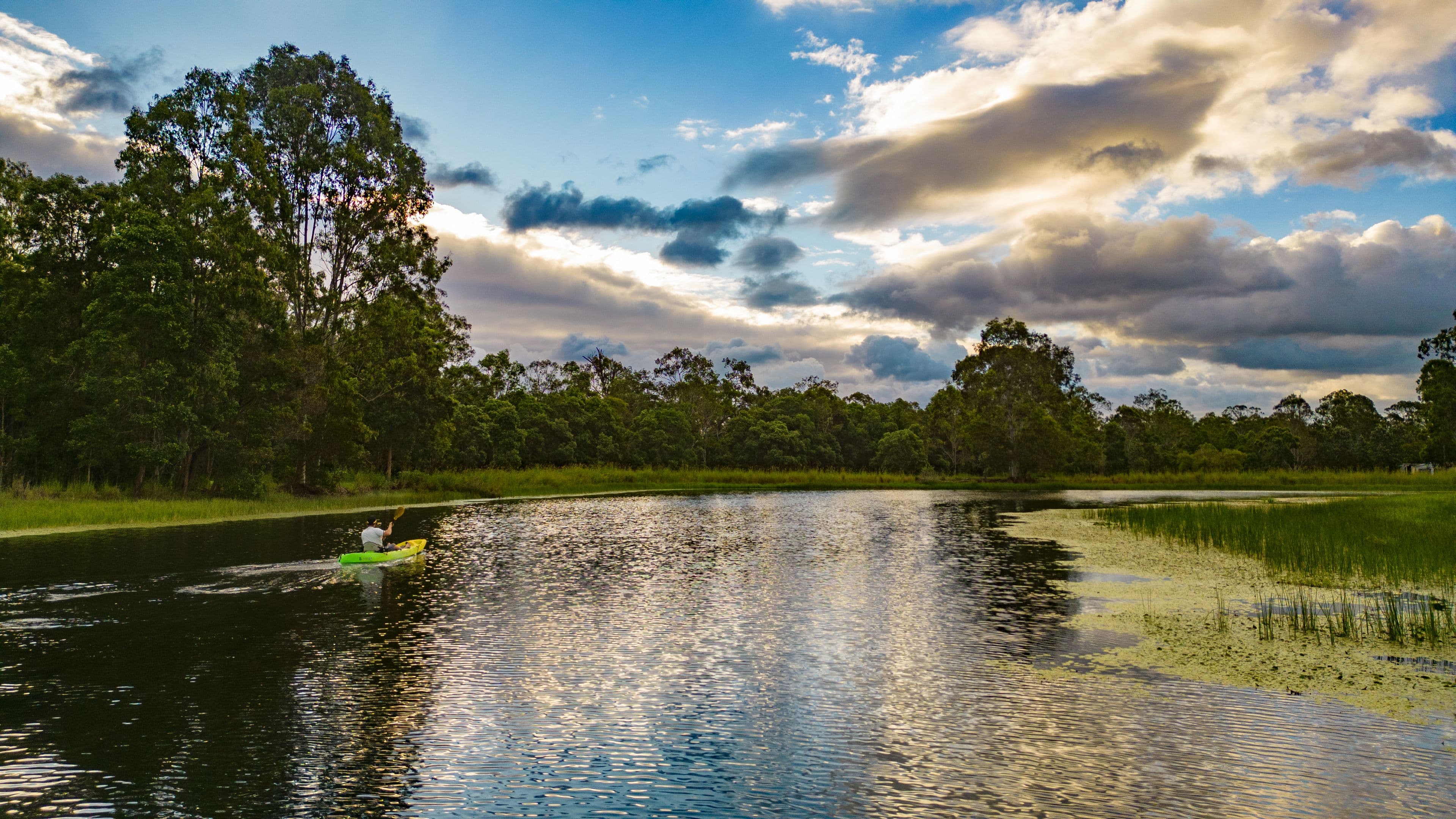 208 Skyring Creek Road, Belli Park QLD 4562, Belli Park - Image 1