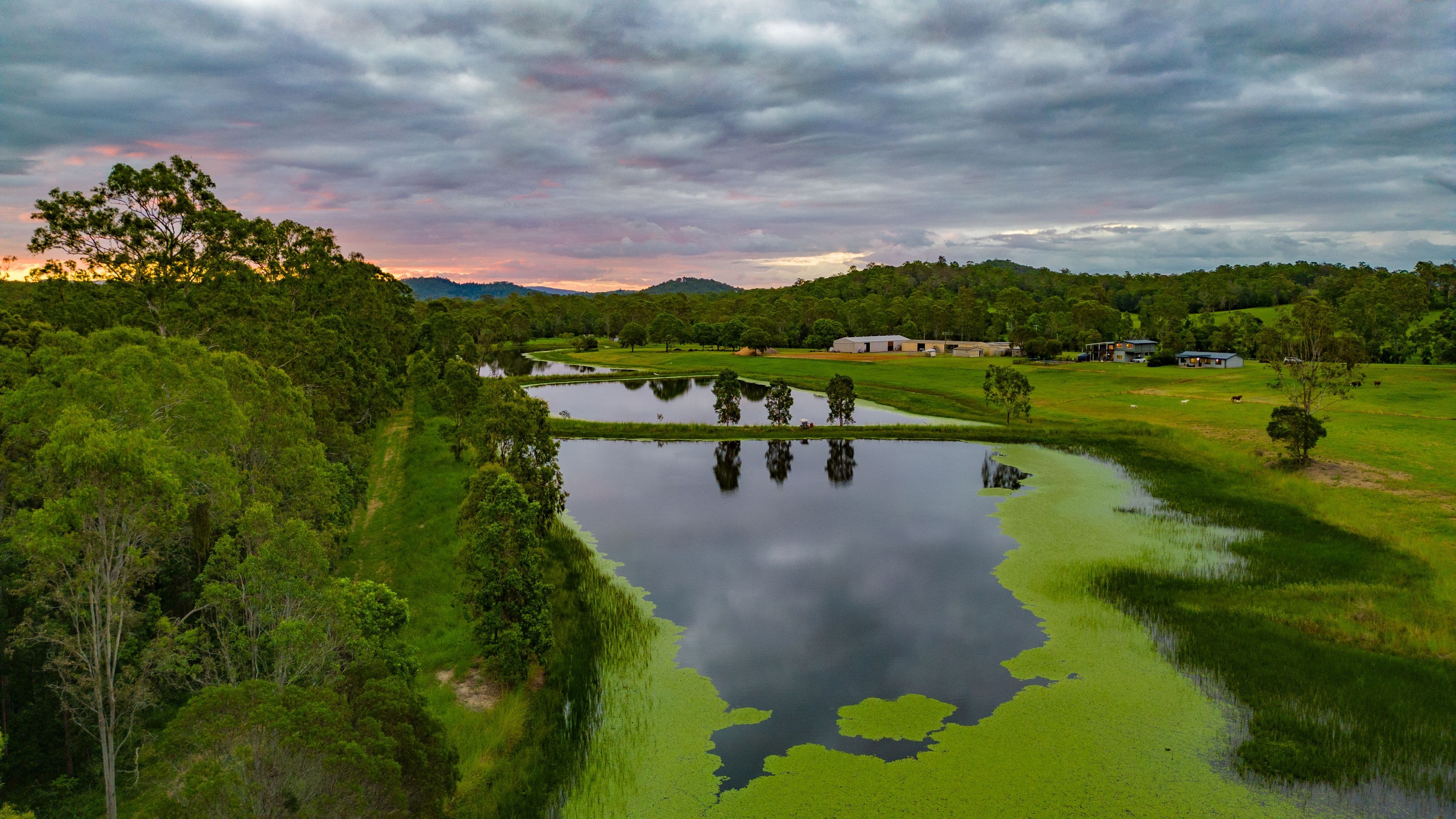 208 Skyring Creek Road, Belli Park QLD 4562, Belli Park - Thumbnail 3