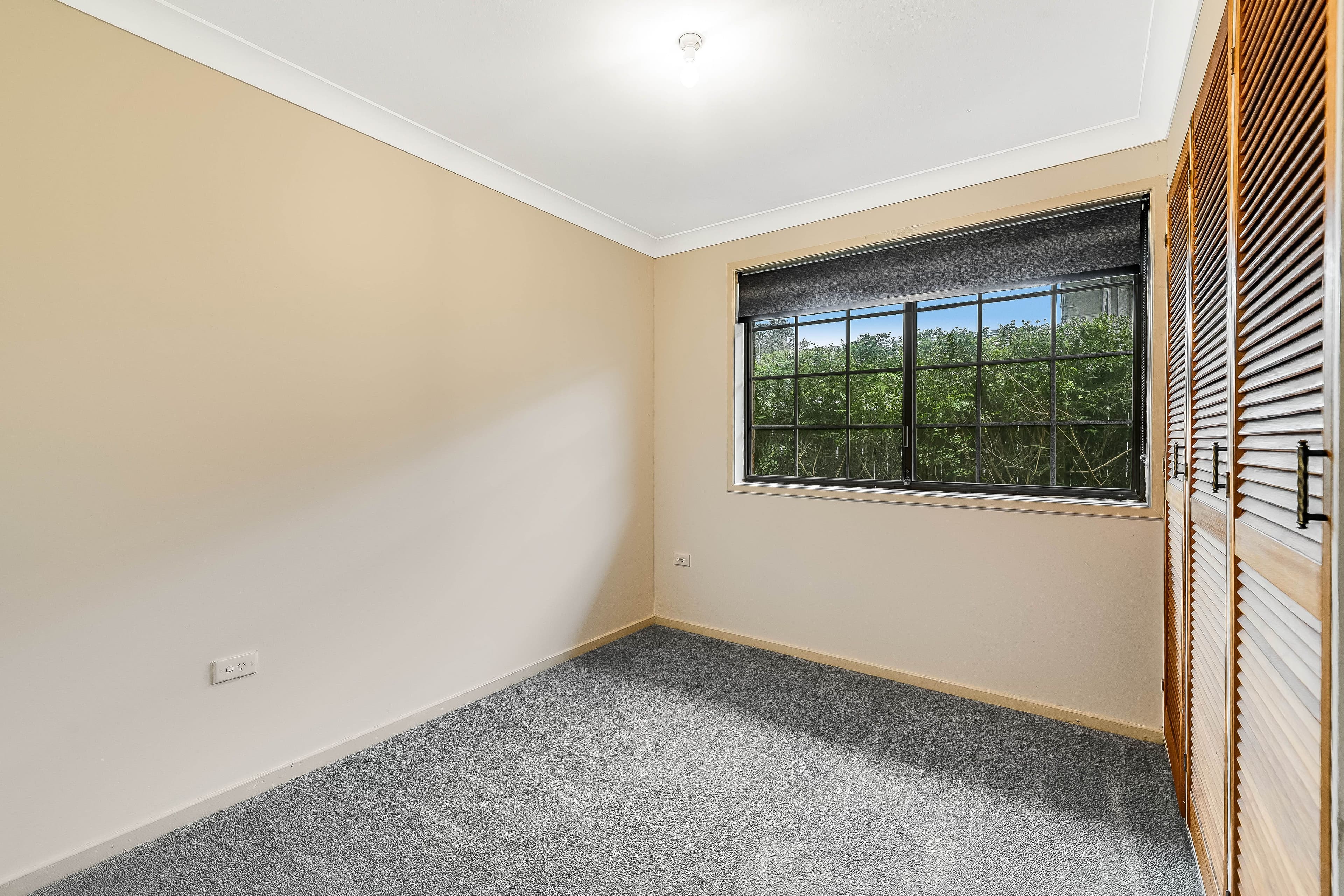 5 Hazzard Street, Centenary Heights QLD 4350, Centenary Heights - Thumbnail 8