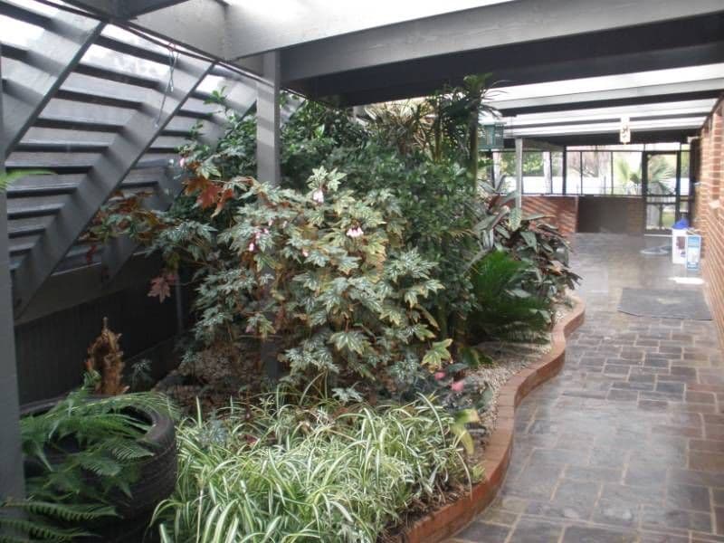 51 Northcote Street, ROCHESTER VIC 3561, Rochester - Thumbnail 5