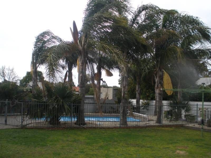 51 Northcote Street, ROCHESTER VIC 3561, Rochester - Thumbnail 8