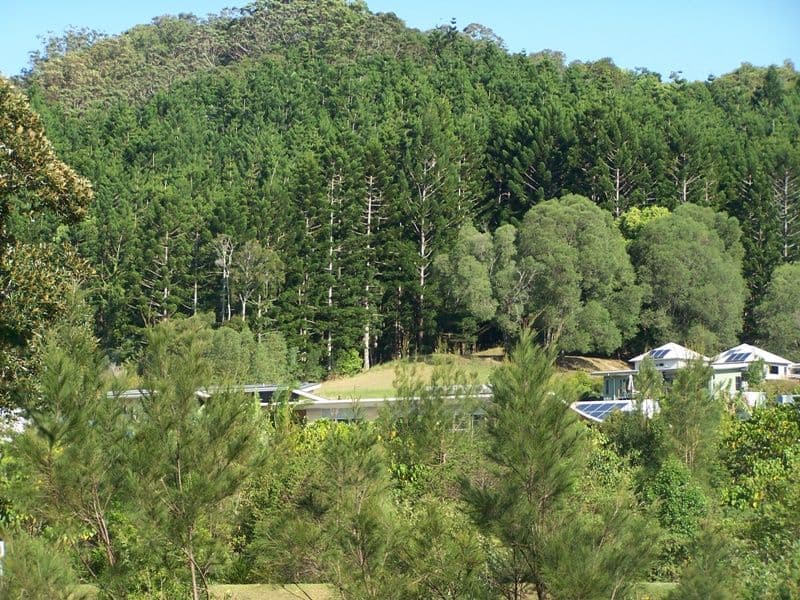 6 Mooligum Way, CURRUMBIN VALLEY QLD 4223, Currumbin Valley - Thumbnail 2