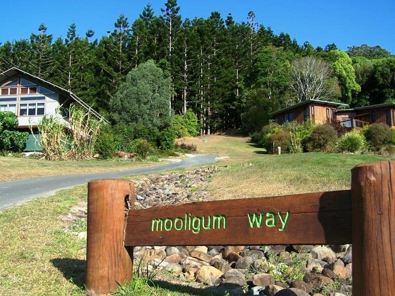 6 Mooligum Way, CURRUMBIN VALLEY QLD 4223, Currumbin Valley - Thumbnail 3