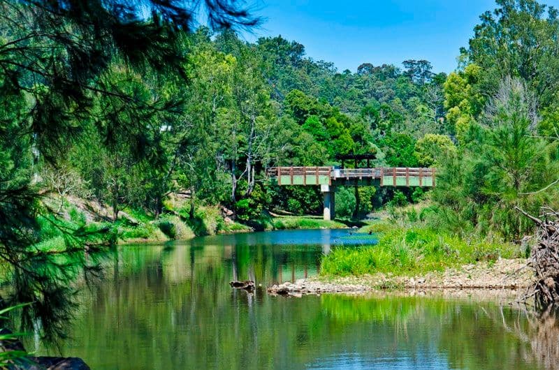 6 Mooligum Way, CURRUMBIN VALLEY QLD 4223, Currumbin Valley - Thumbnail 8