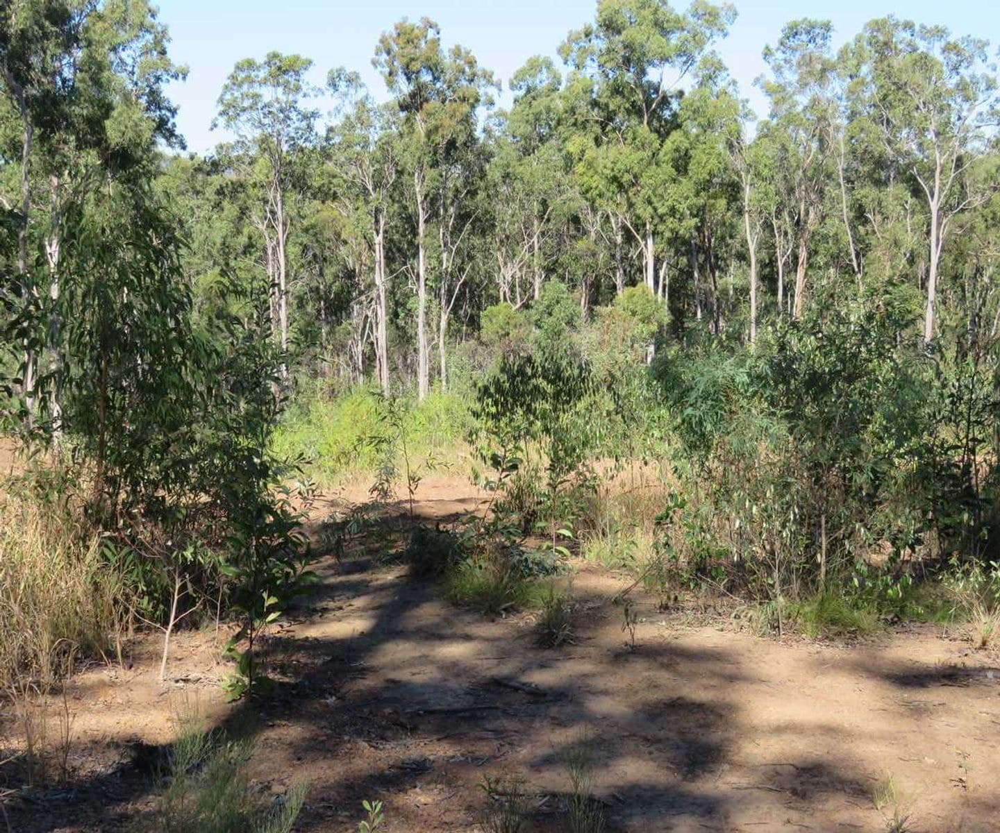 654 Old Bruxner Highway, Tabulam, NSW 2469, Tabulam - Thumbnail 8