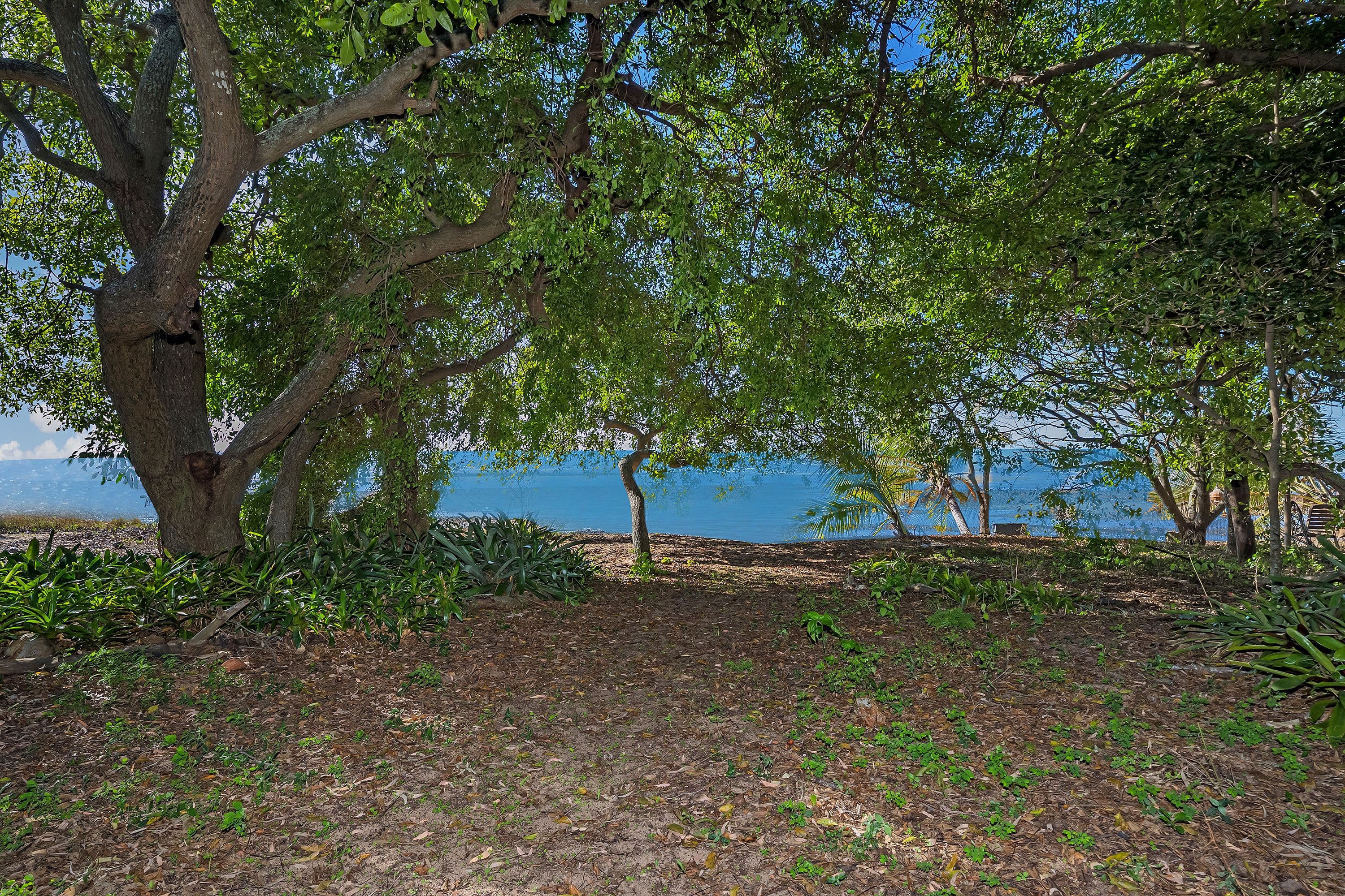 104 The Esplanade, Toolakea QLD 4818, Toolakea - Thumbnail 5