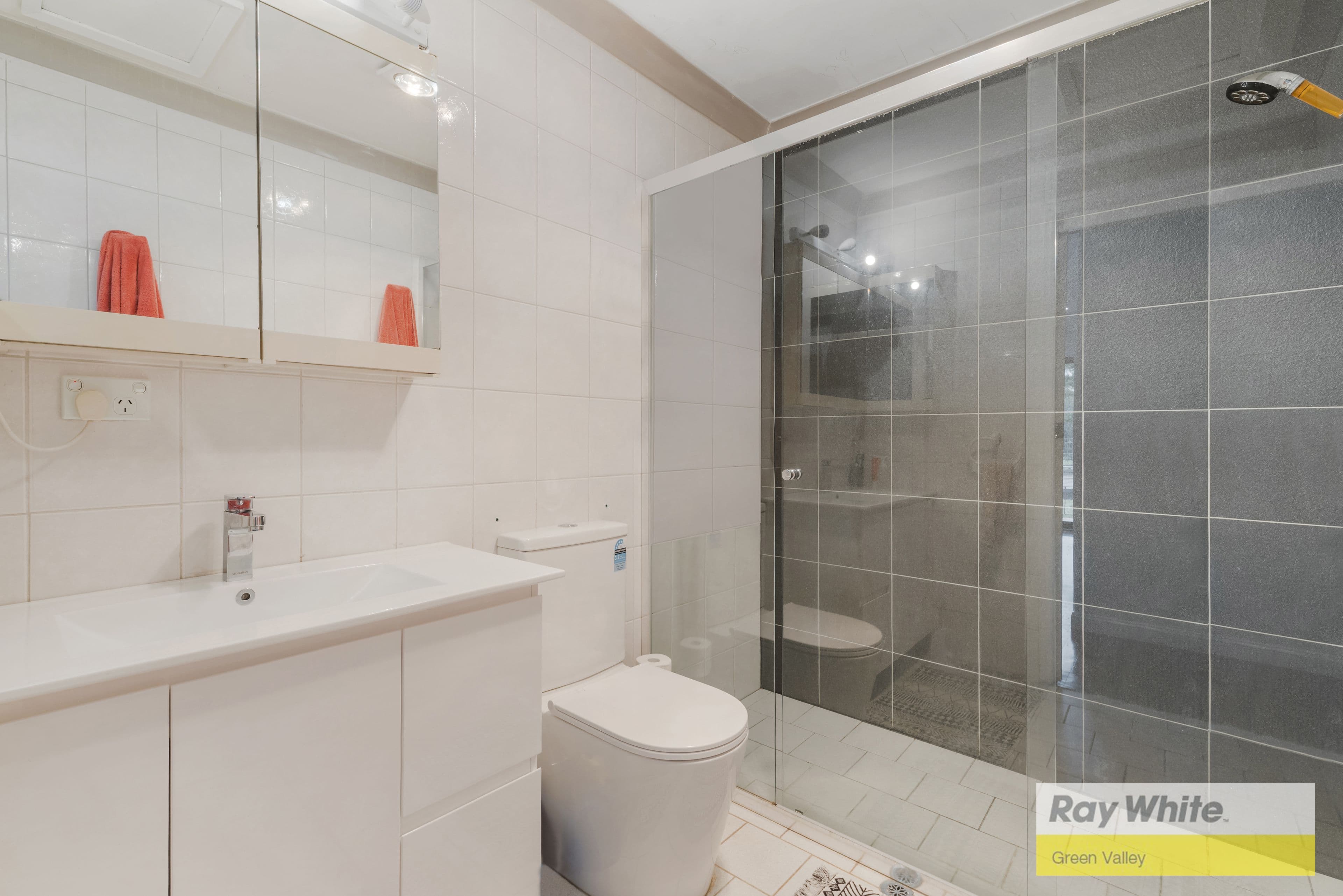 48 Murphy Avenue, Liverpool NSW 2170, Liverpool - Thumbnail 8