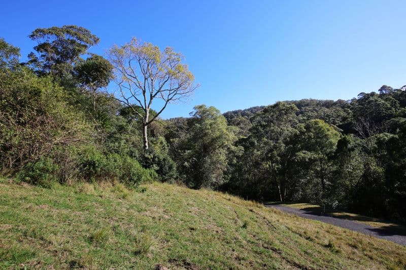 265B Bundewallah Road, Bundewallah NSW 2535, Bundewallah - Thumbnail 6