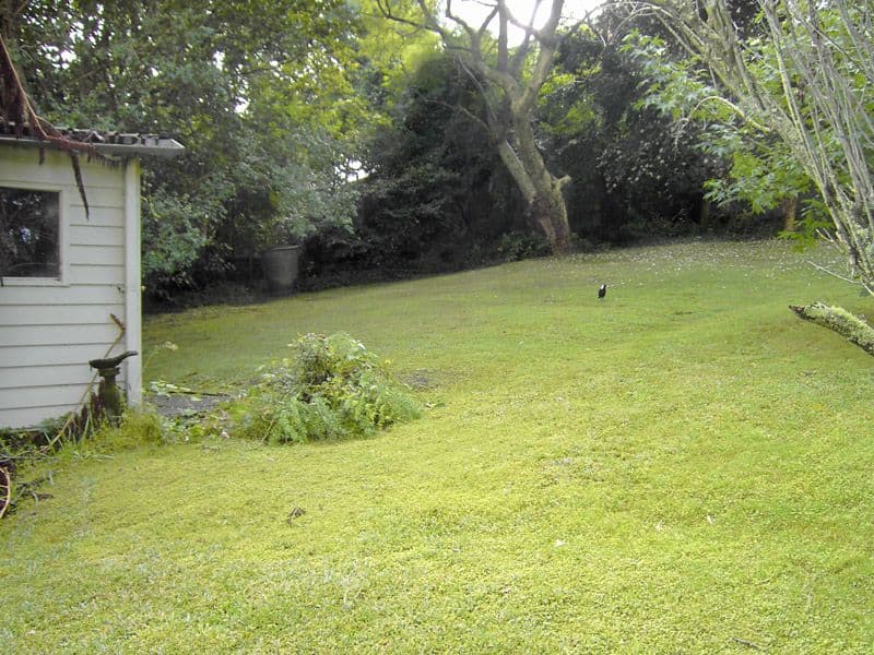 14 Grassmere Road, KILLARA NSW 2071, Killara - Thumbnail 3