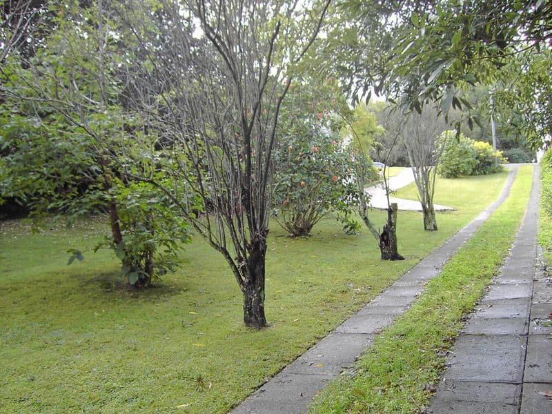 14 Grassmere Road, KILLARA NSW 2071, Killara - Thumbnail 4