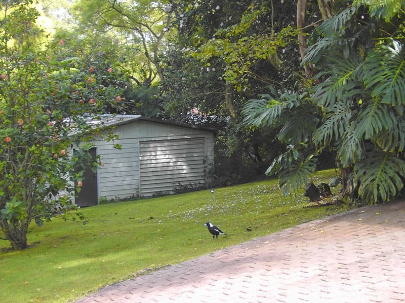14 Grassmere Road, KILLARA NSW 2071, Killara - Thumbnail 6