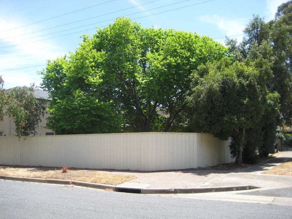 7 Strathmore Avenue, Tranmere SA 5073, Tranmere - Thumbnail 2