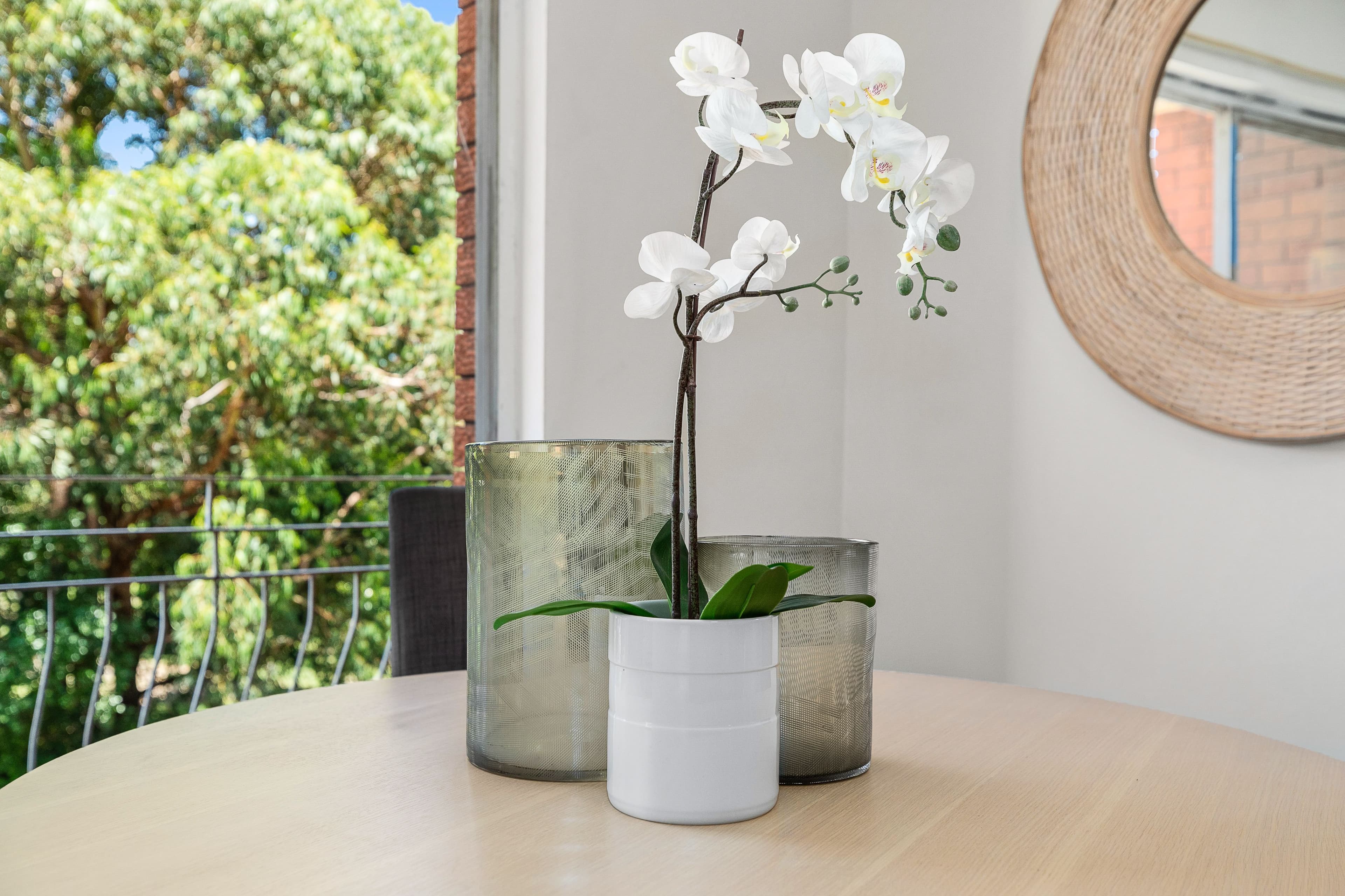16 Linsley Street, Gladesville NSW 2111, Gladesville - Thumbnail 6