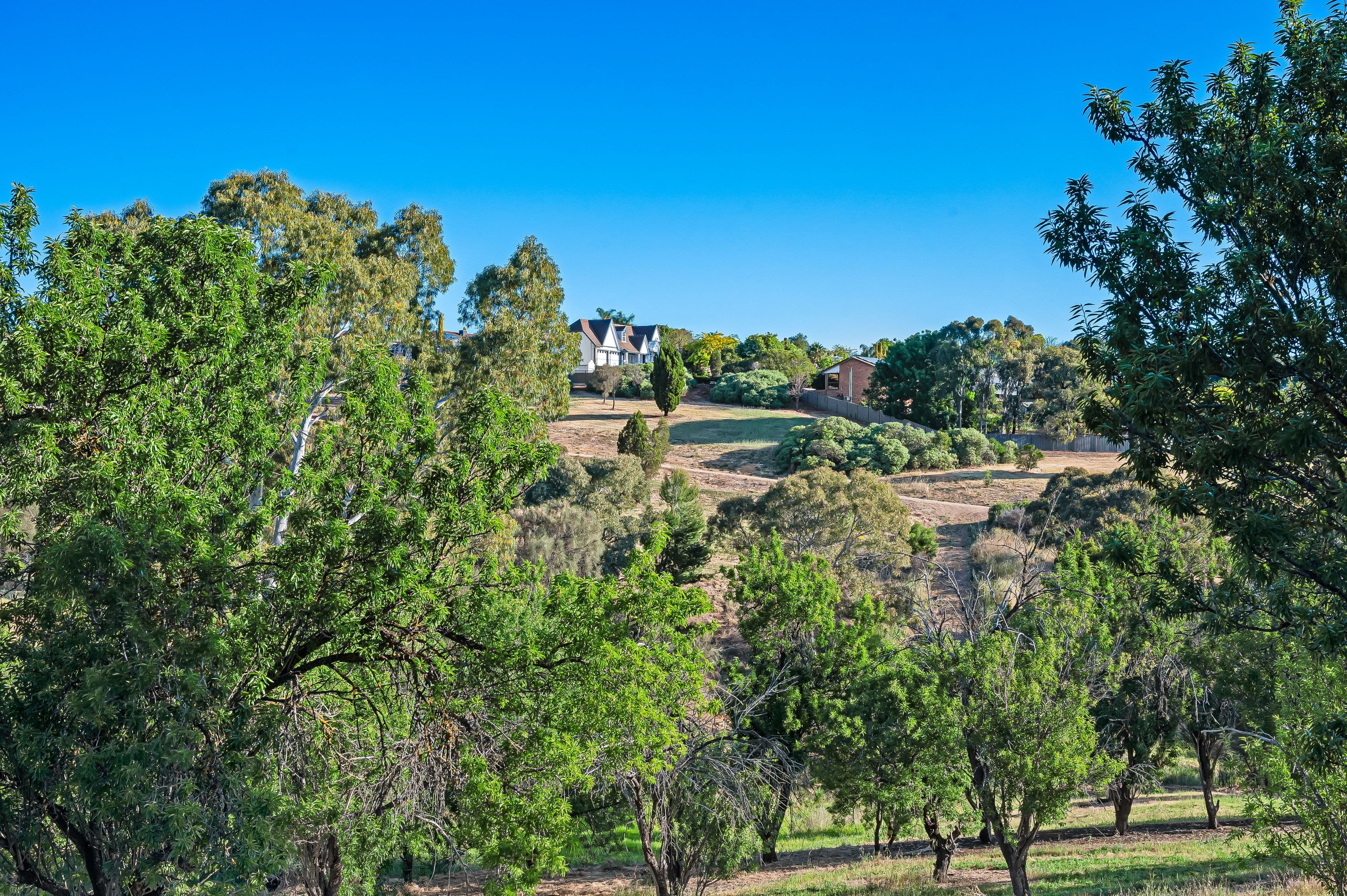 20 Chambers Street, Golden Grove SA 5125, Golden Grove - Thumbnail 3