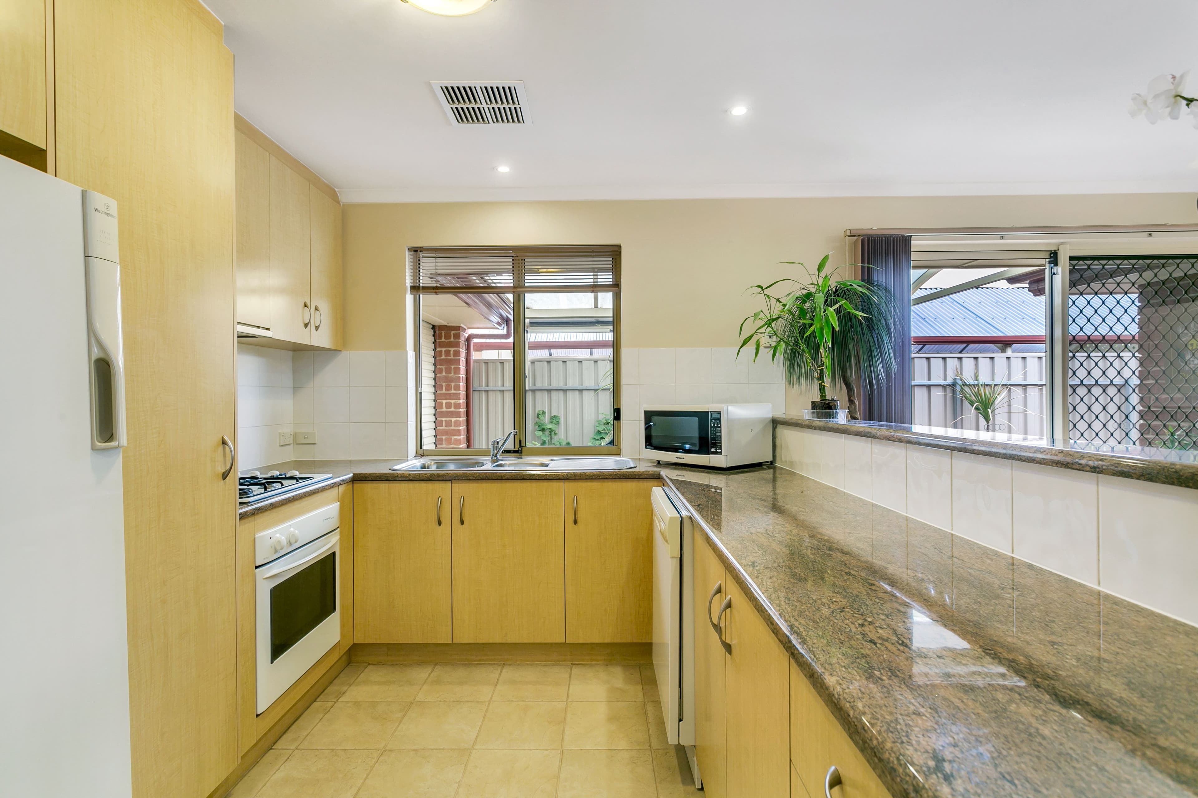 12 McFarlane Avenue, Mitchell Park SA 5043, Mitchell Park - Thumbnail 3