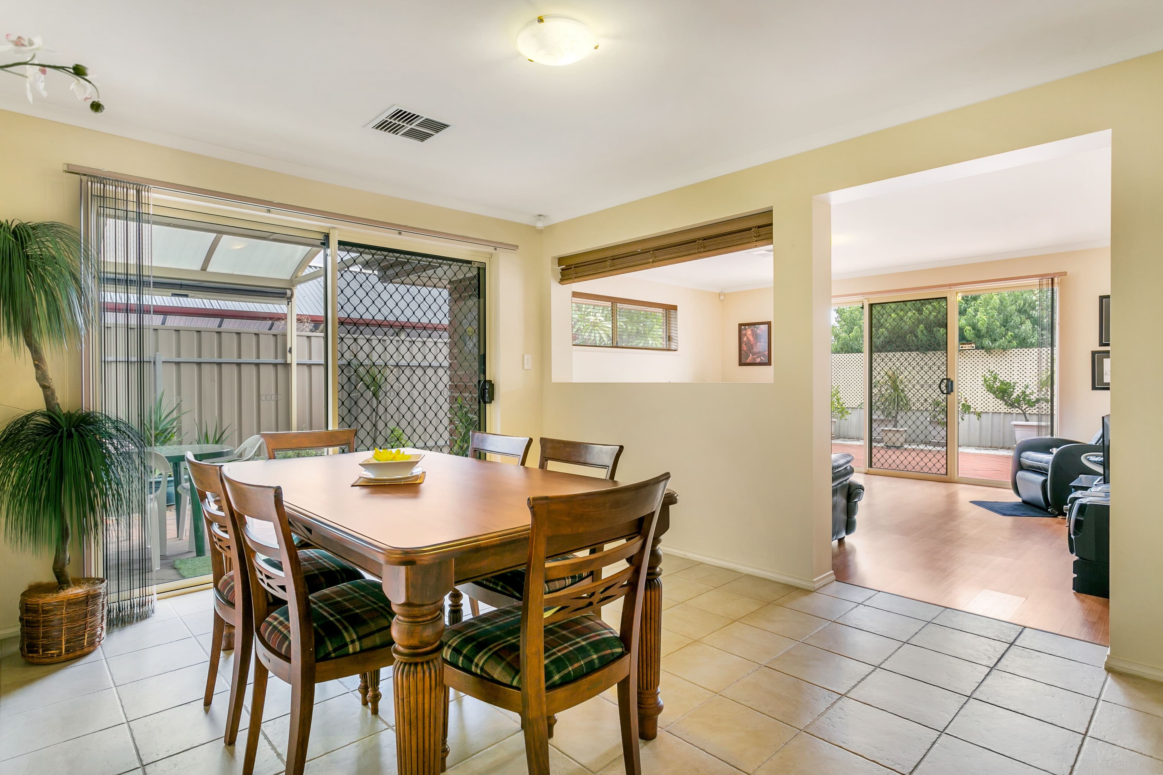 12 McFarlane Avenue, Mitchell Park SA 5043, Mitchell Park - Thumbnail 5