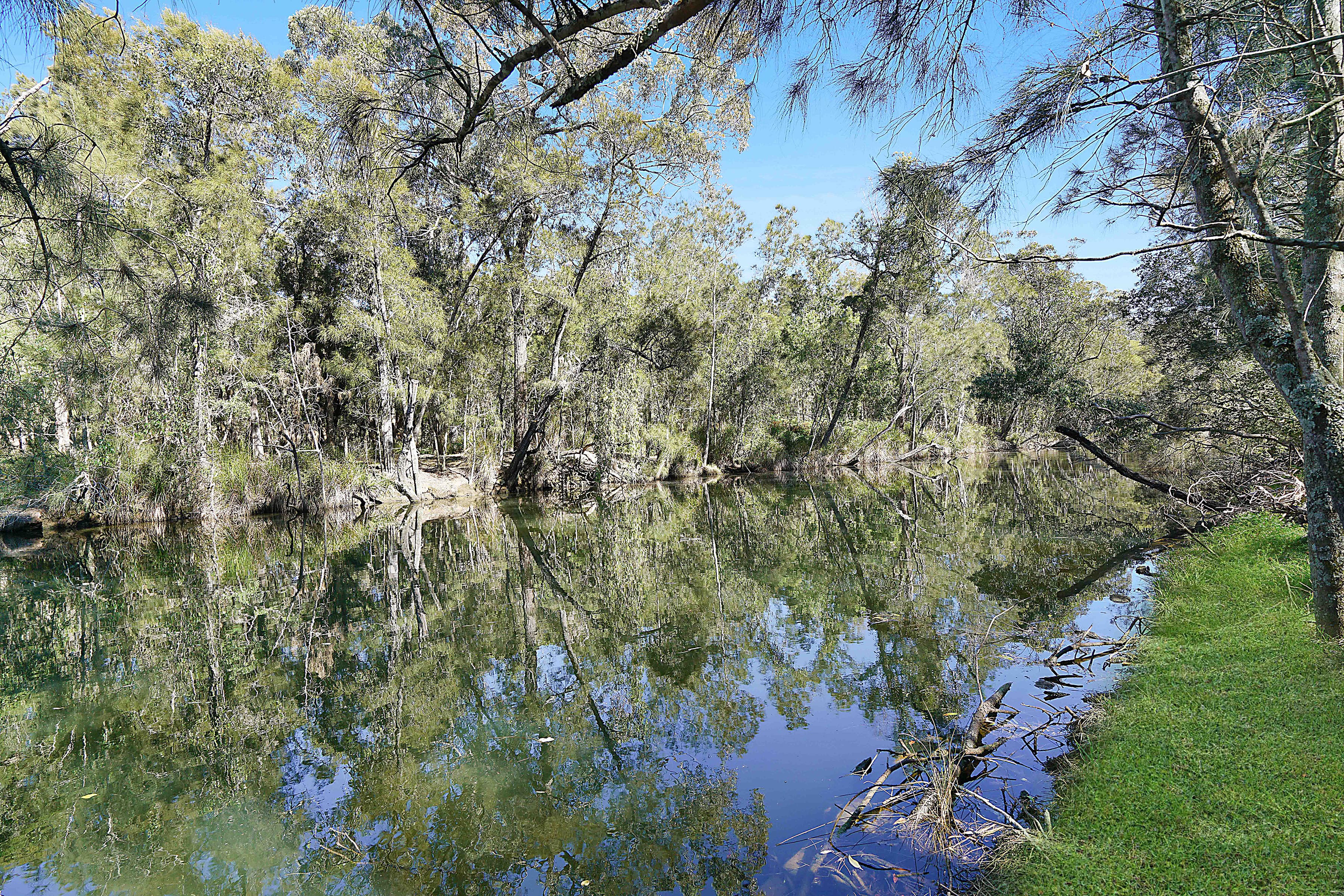 205 Freemans Drive, Morisset - Thumbnail 2