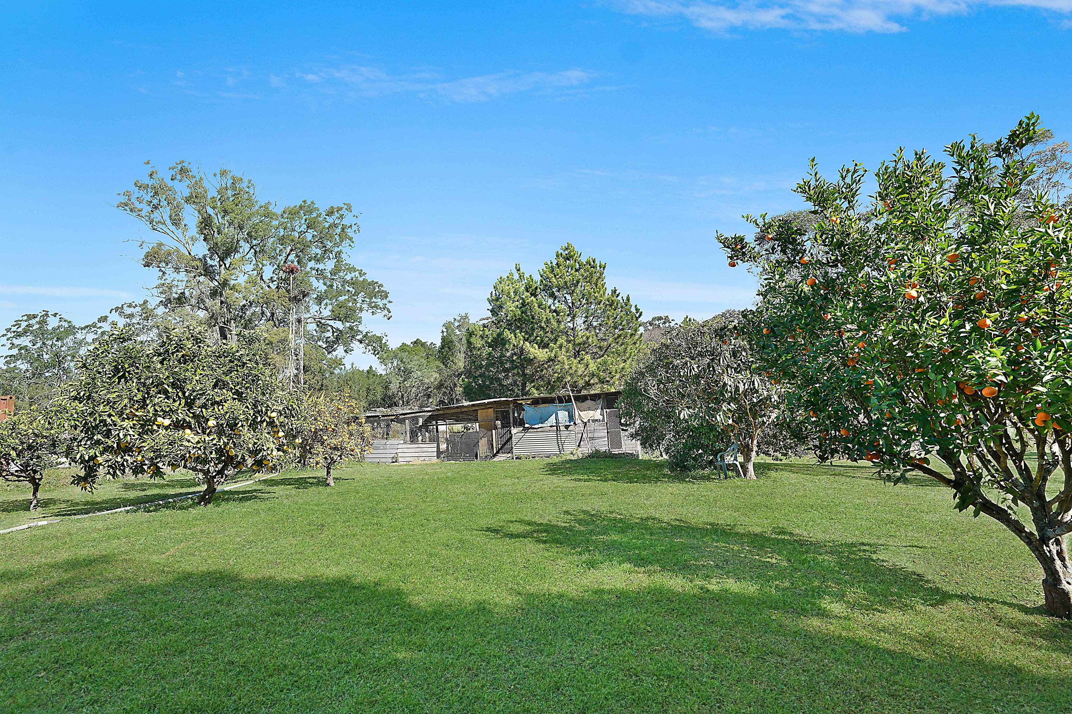 205 Freemans Drive, Morisset - Thumbnail 7