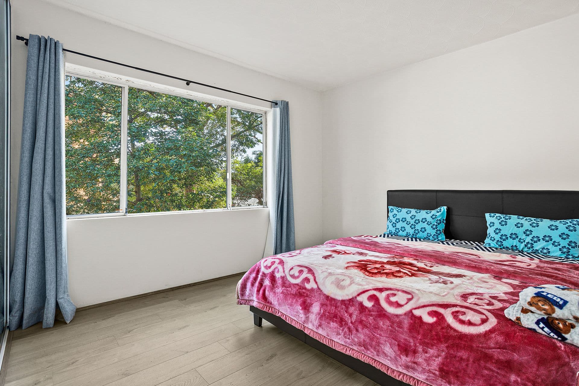 13 Cambridge Street, Penshurst NSW 2222, Penshurst - Thumbnail 6