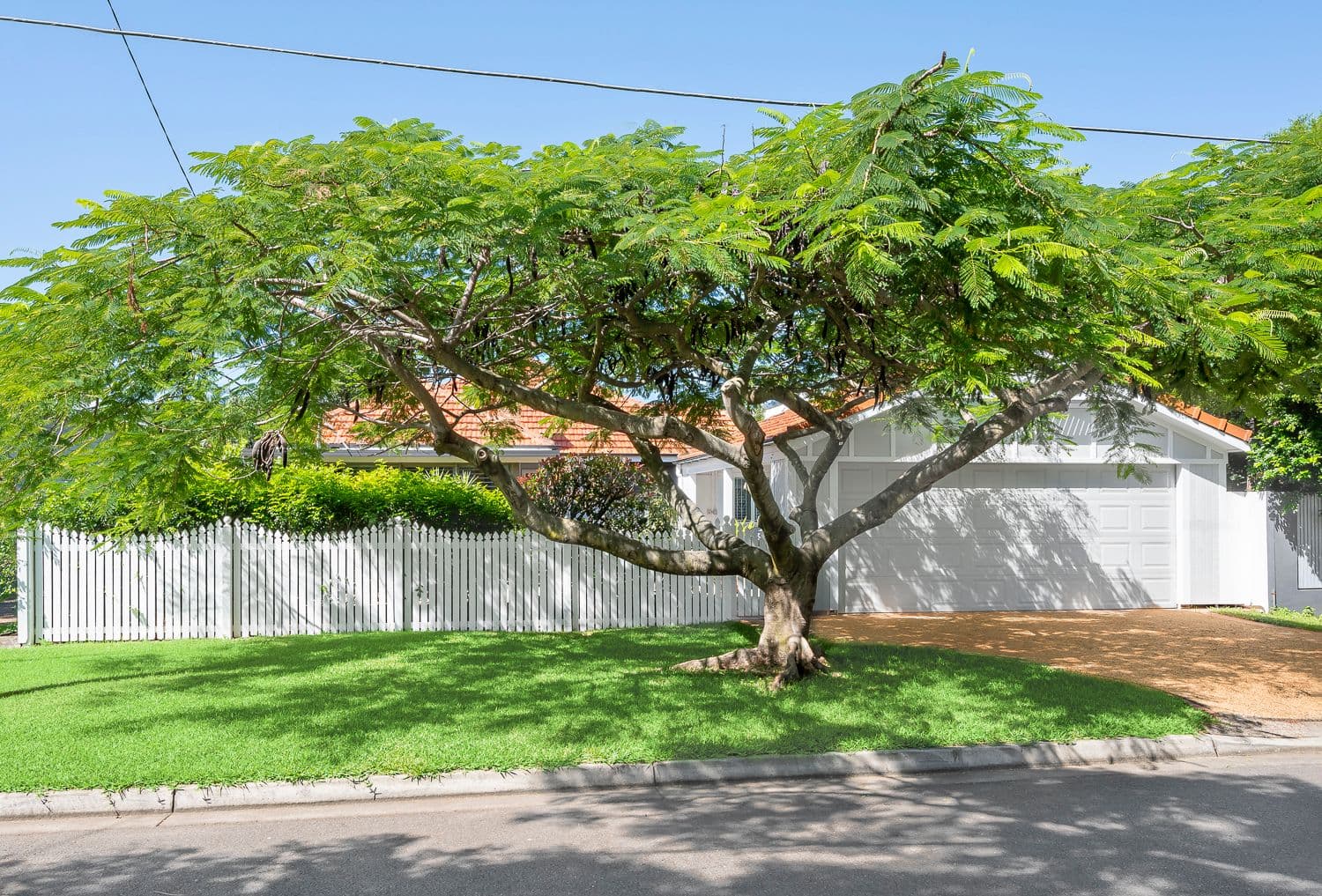 15 Williams Avenue, Hendra QLD 4011, Hendra - Thumbnail 2