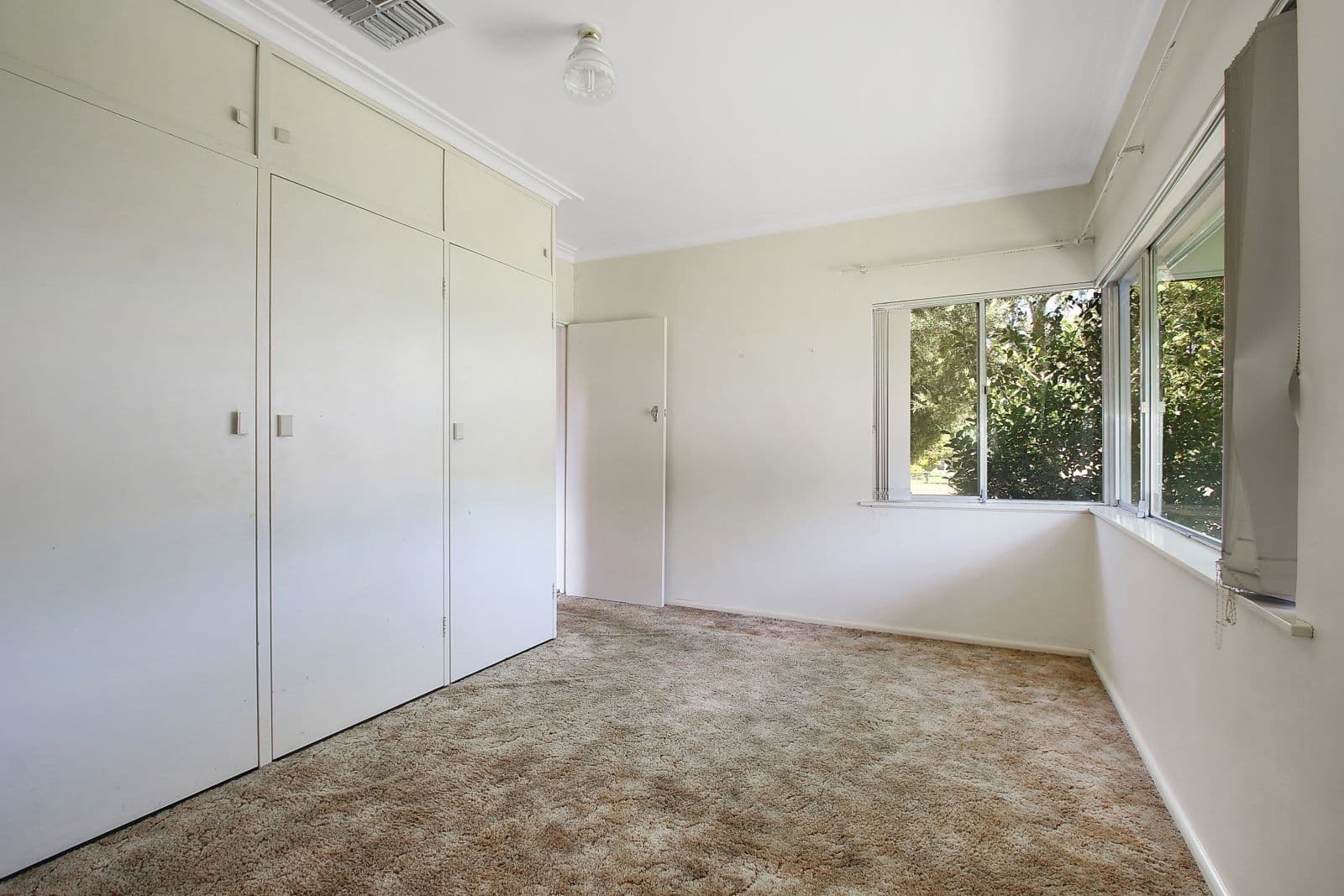 442 Parnall Street, Lavington NSW 2641, Lavington - Thumbnail 5